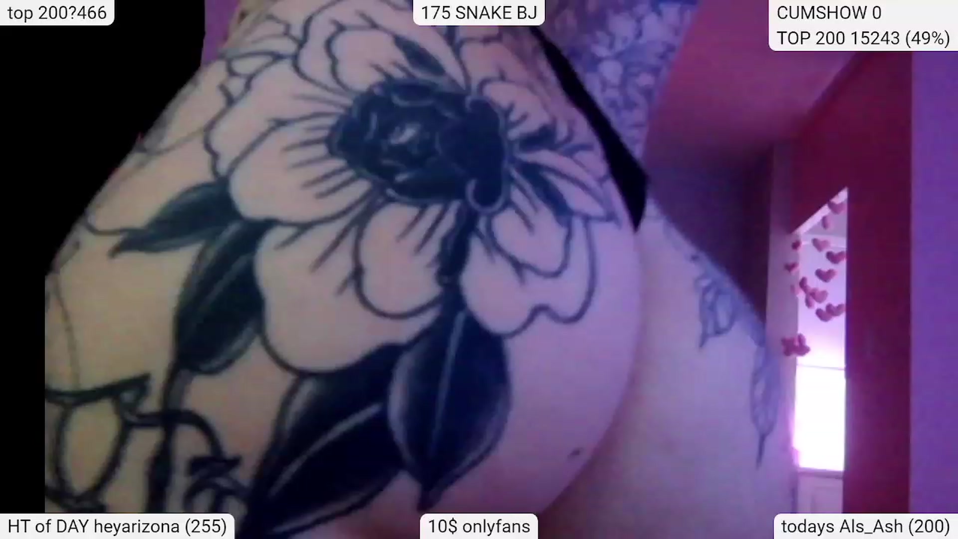 Gallery image thumbnail from Tattoobambi's myfreecams stream on, 01/24/2024, 02:45 image 15 of 20