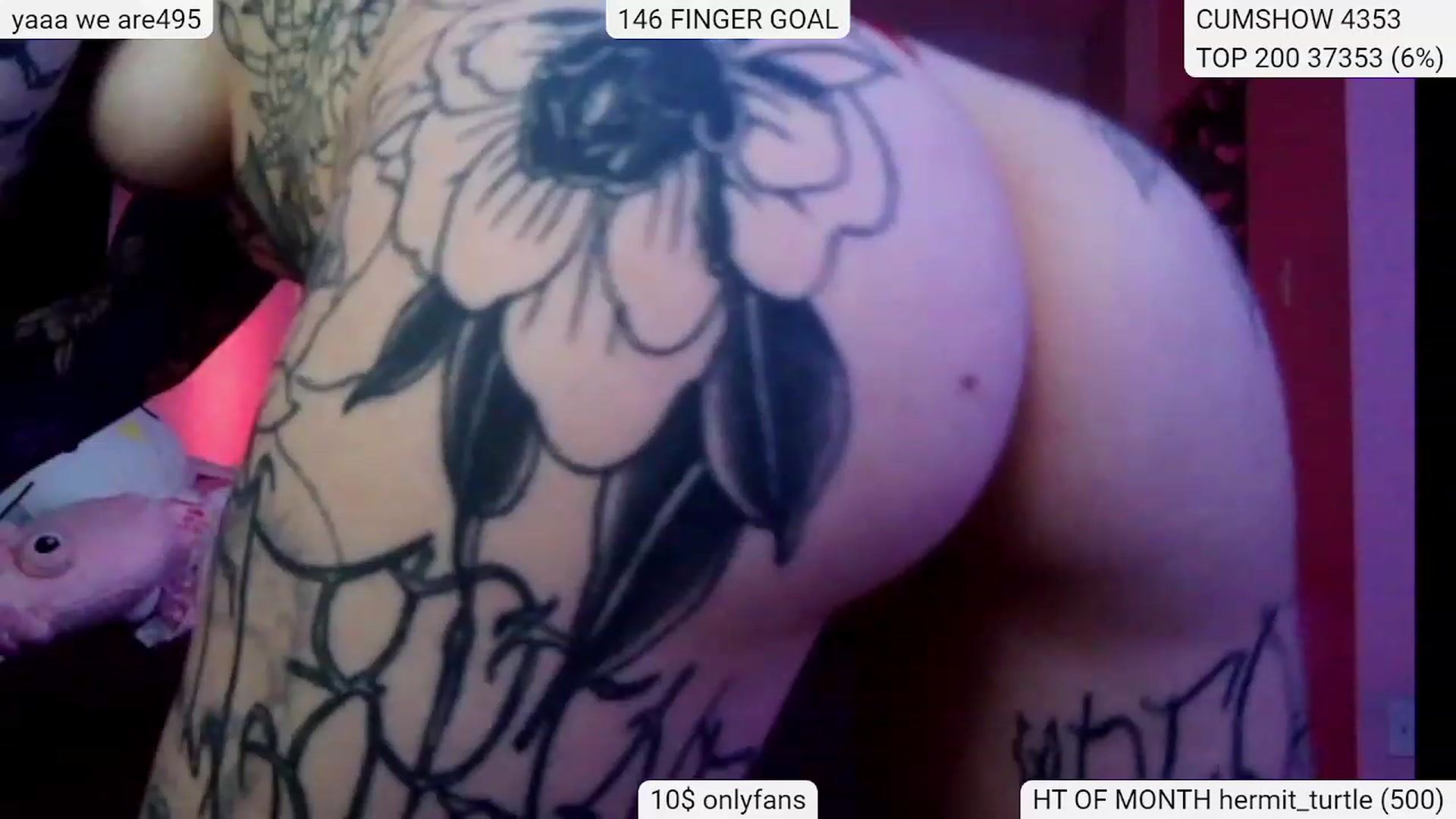 Gallery image thumbnail from Tattoobambi's myfreecams stream on, 01/27/2024, 05:21 image 9 of 20