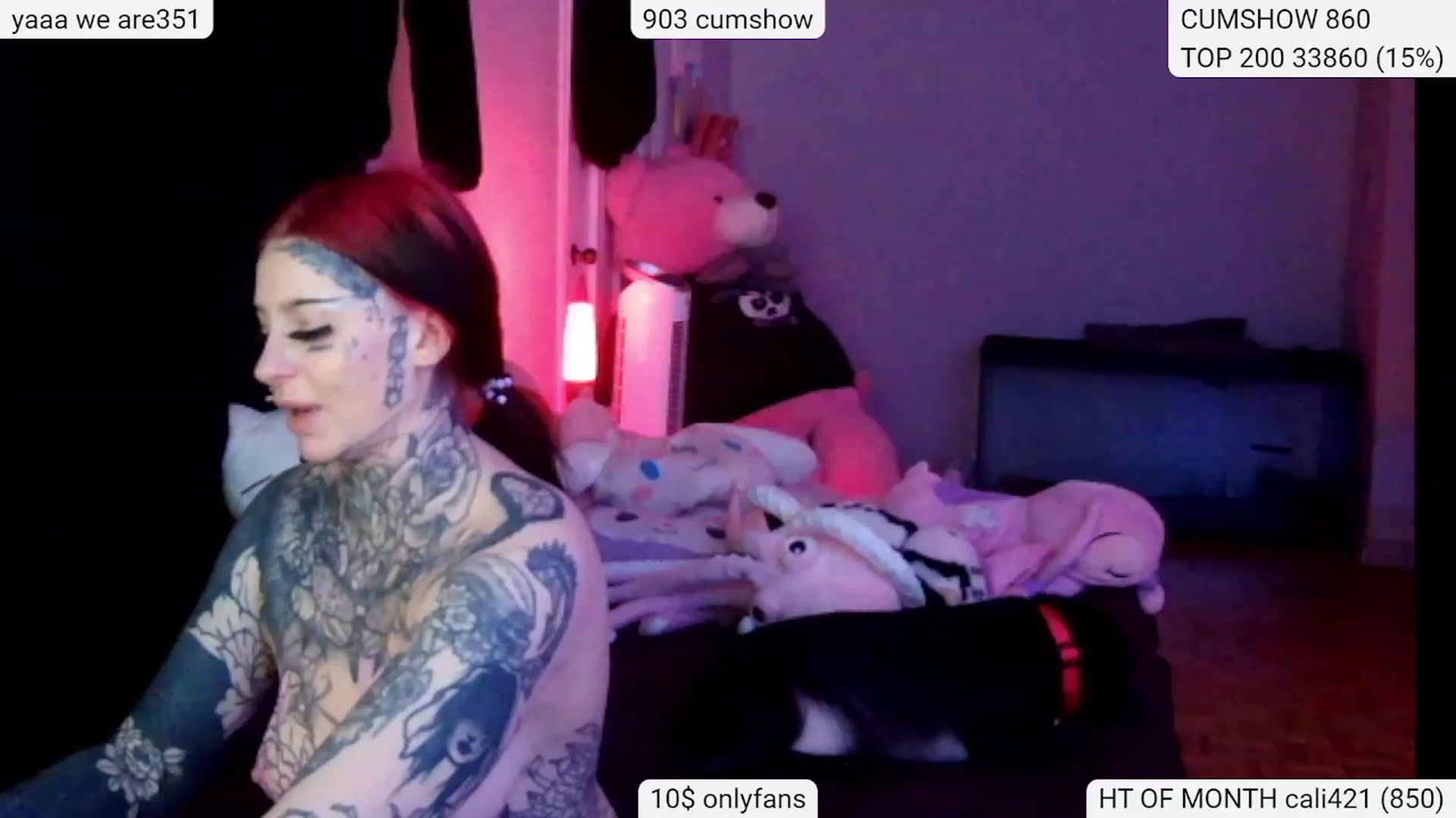 Gallery image thumbnail from Tattoobambi's myfreecams stream on, 01/27/2024, 09:52 image 4 of 20