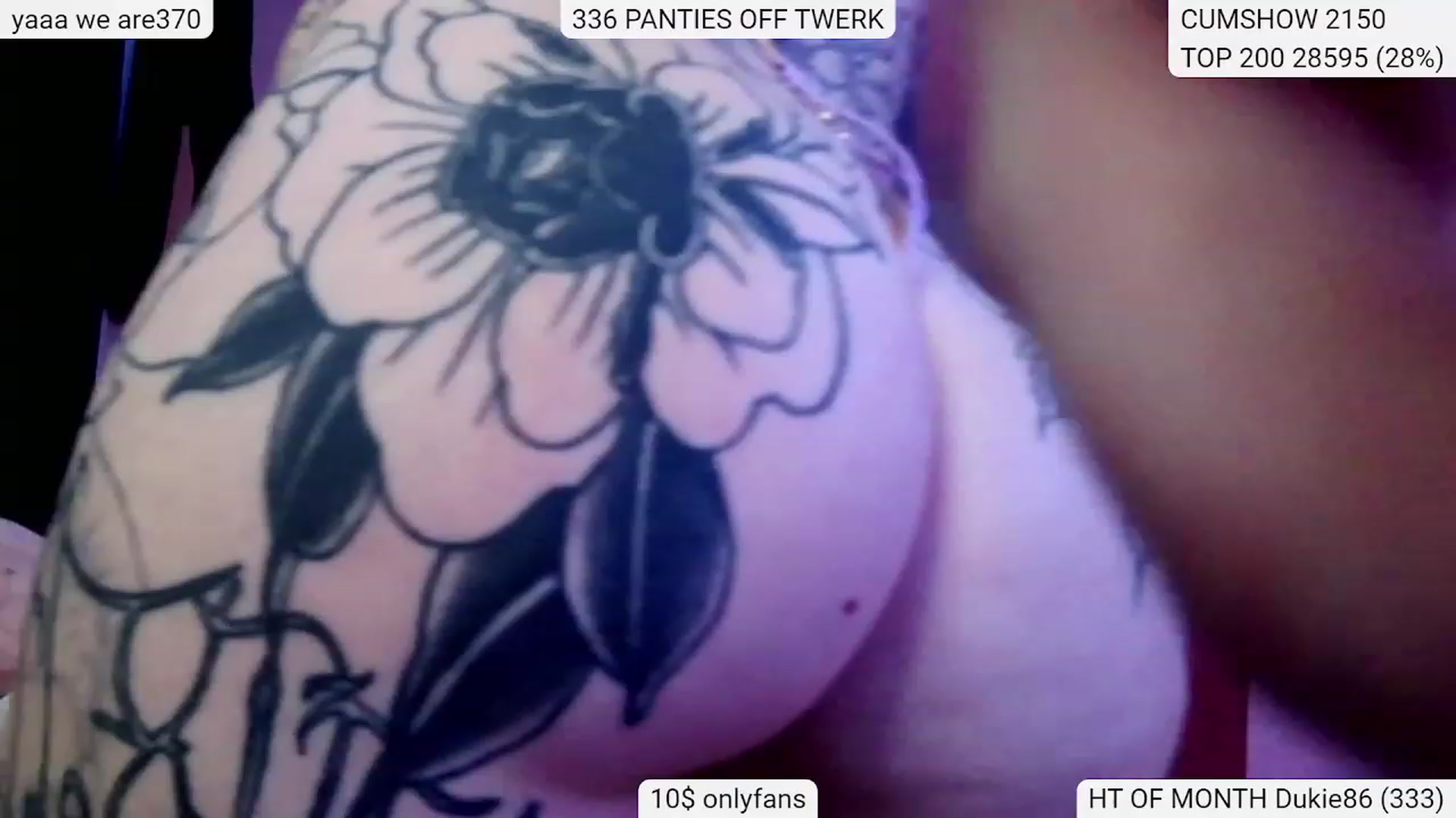 Gallery image thumbnail from Tattoobambi's myfreecams stream on, 02/01/2024, 04:12 image 12 of 20