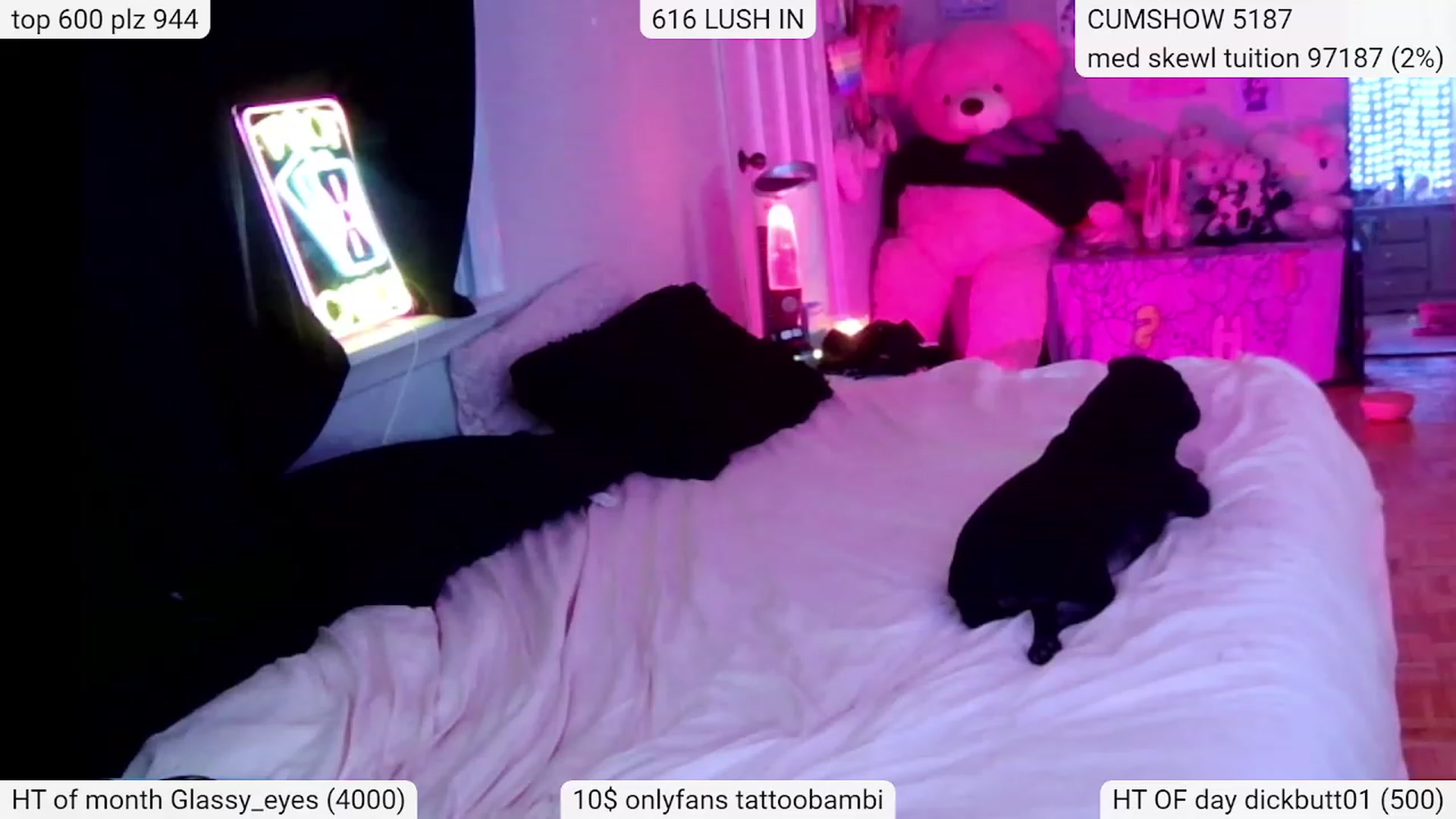 Gallery image thumbnail from Tattoobambi's myfreecams stream on, 02/17/2024, 06:18 image 2 of 20