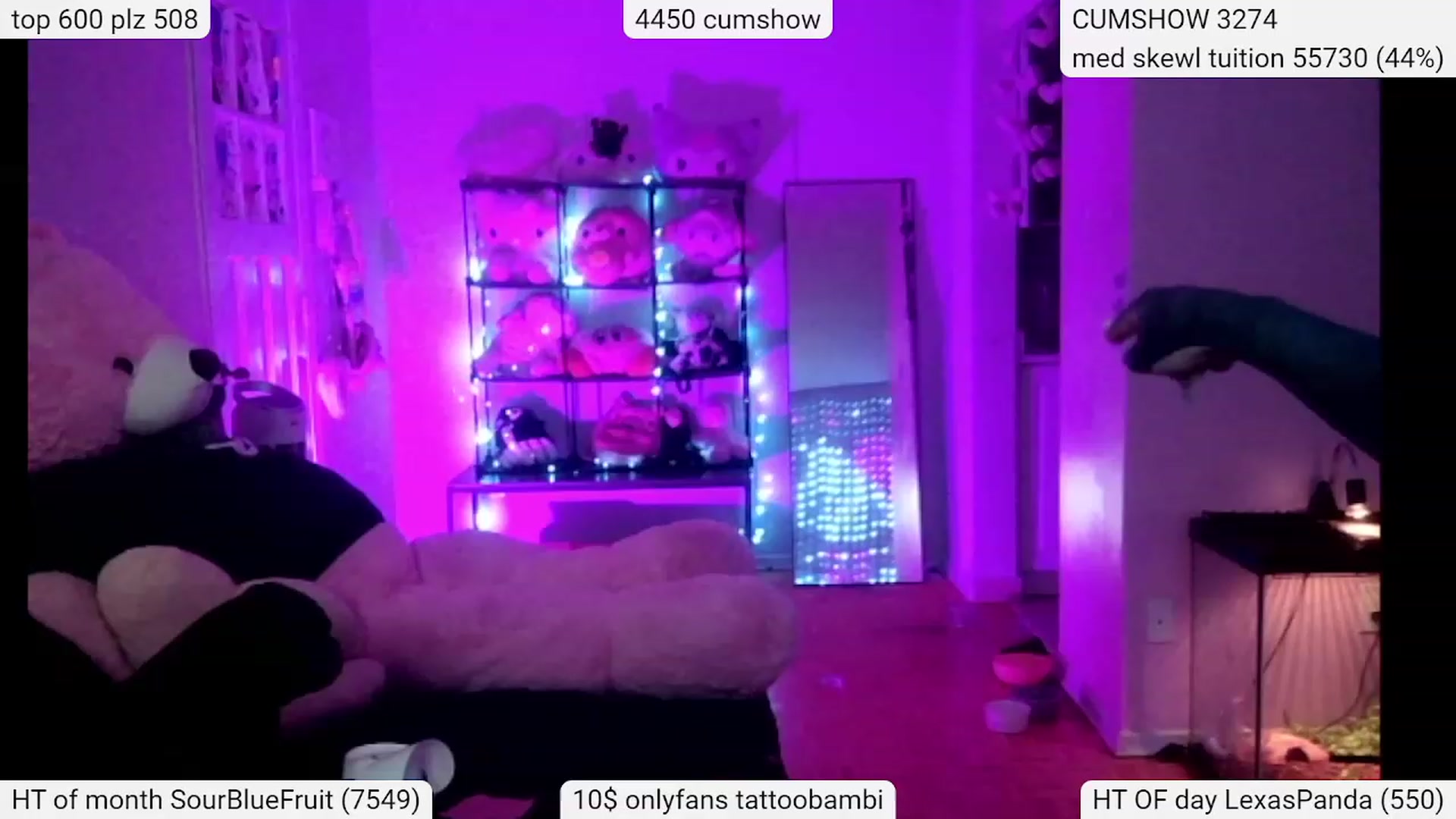 Gallery image thumbnail from Tattoobambi's myfreecams stream on, 03/12/2024, 06:08 image 10 of 20