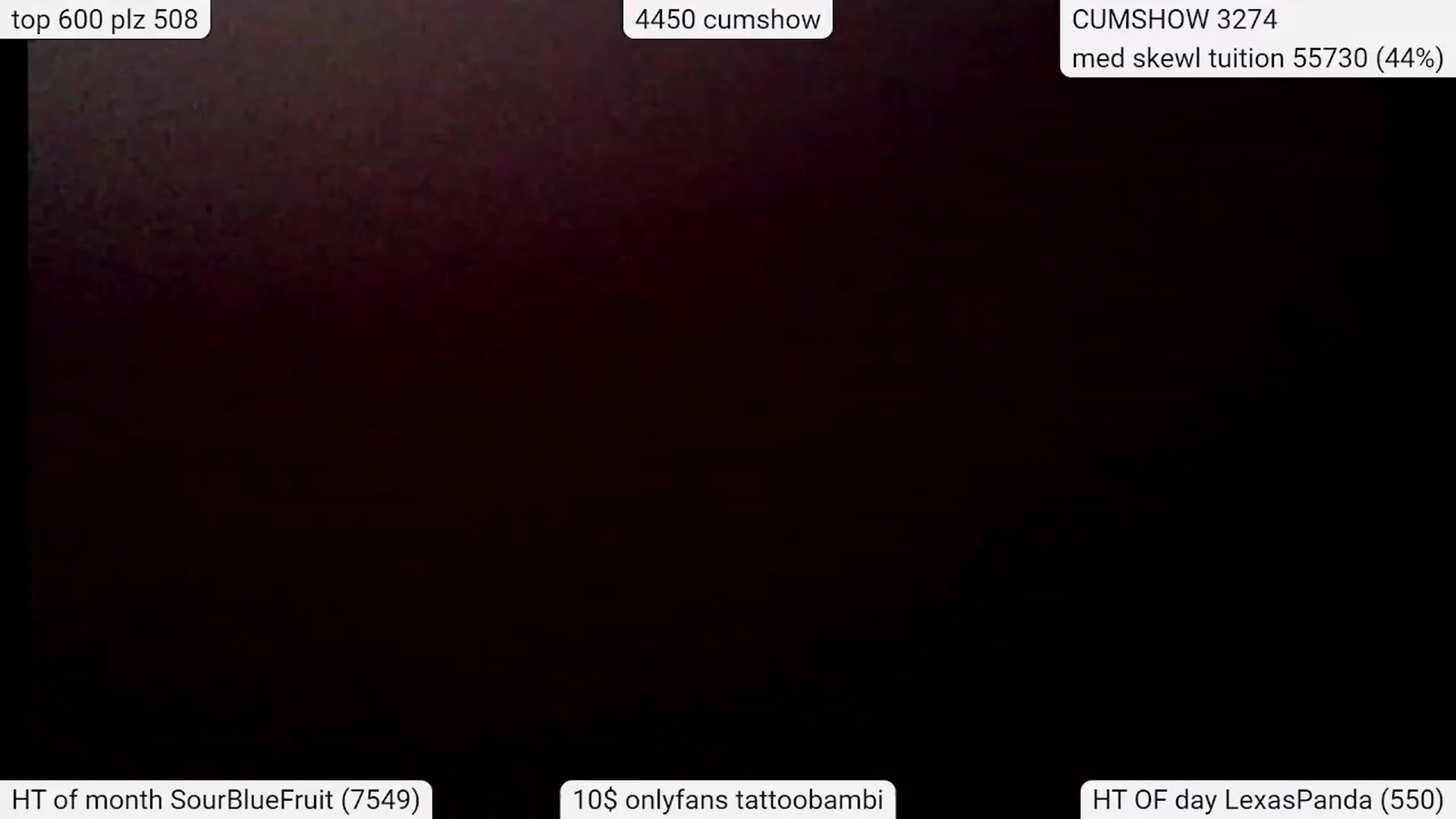 Gallery image thumbnail from Tattoobambi's myfreecams stream on, 03/12/2024, 06:08 image 13 of 20