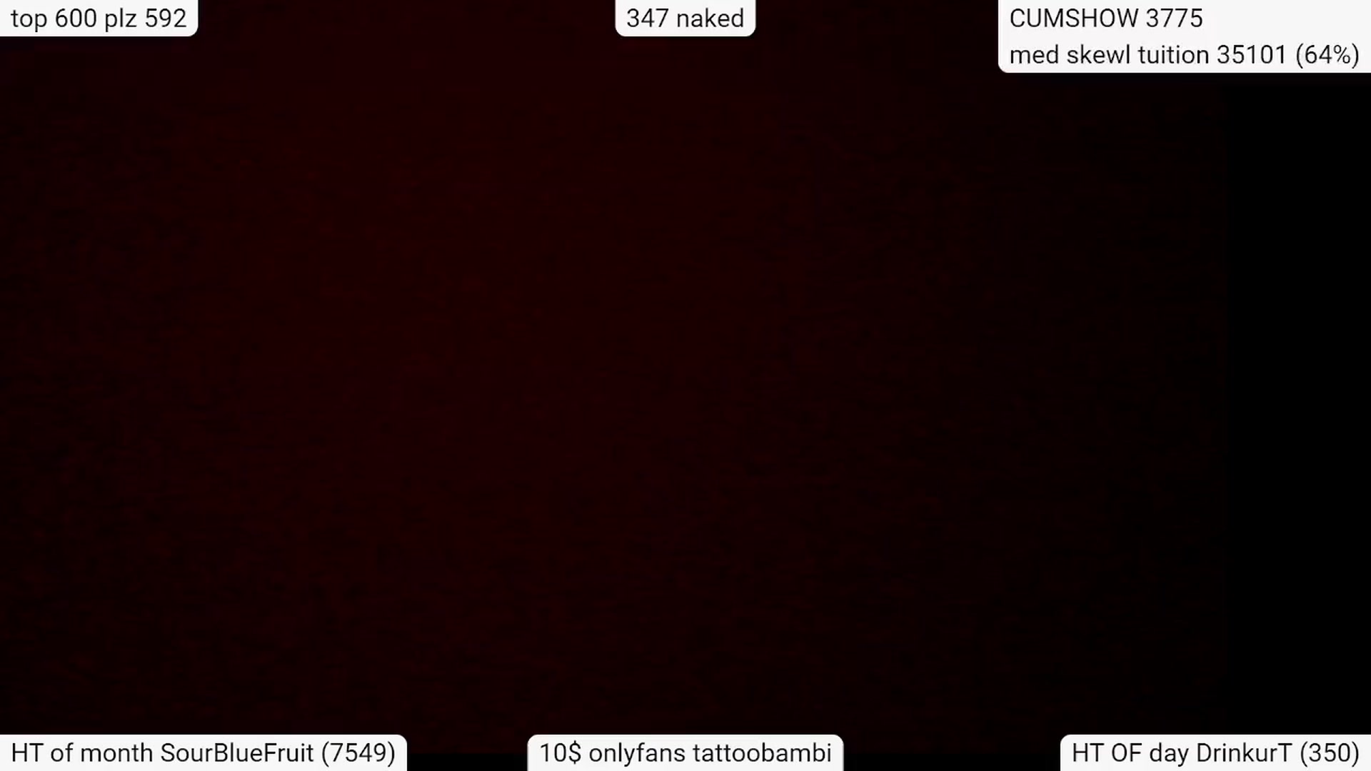 Gallery image thumbnail from Tattoobambi's myfreecams stream on, 03/24/2024, 04:39 image 10 of 20