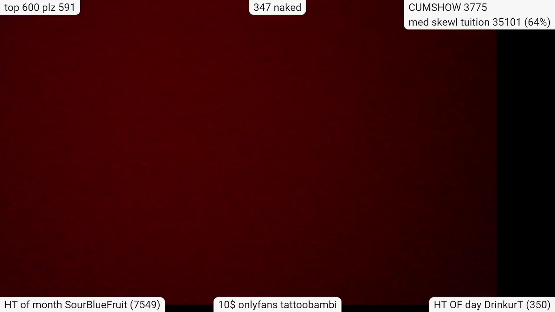 Gallery image thumbnail from Tattoobambi's myfreecams stream on, 03/24/2024, 04:39 image 11 of 20