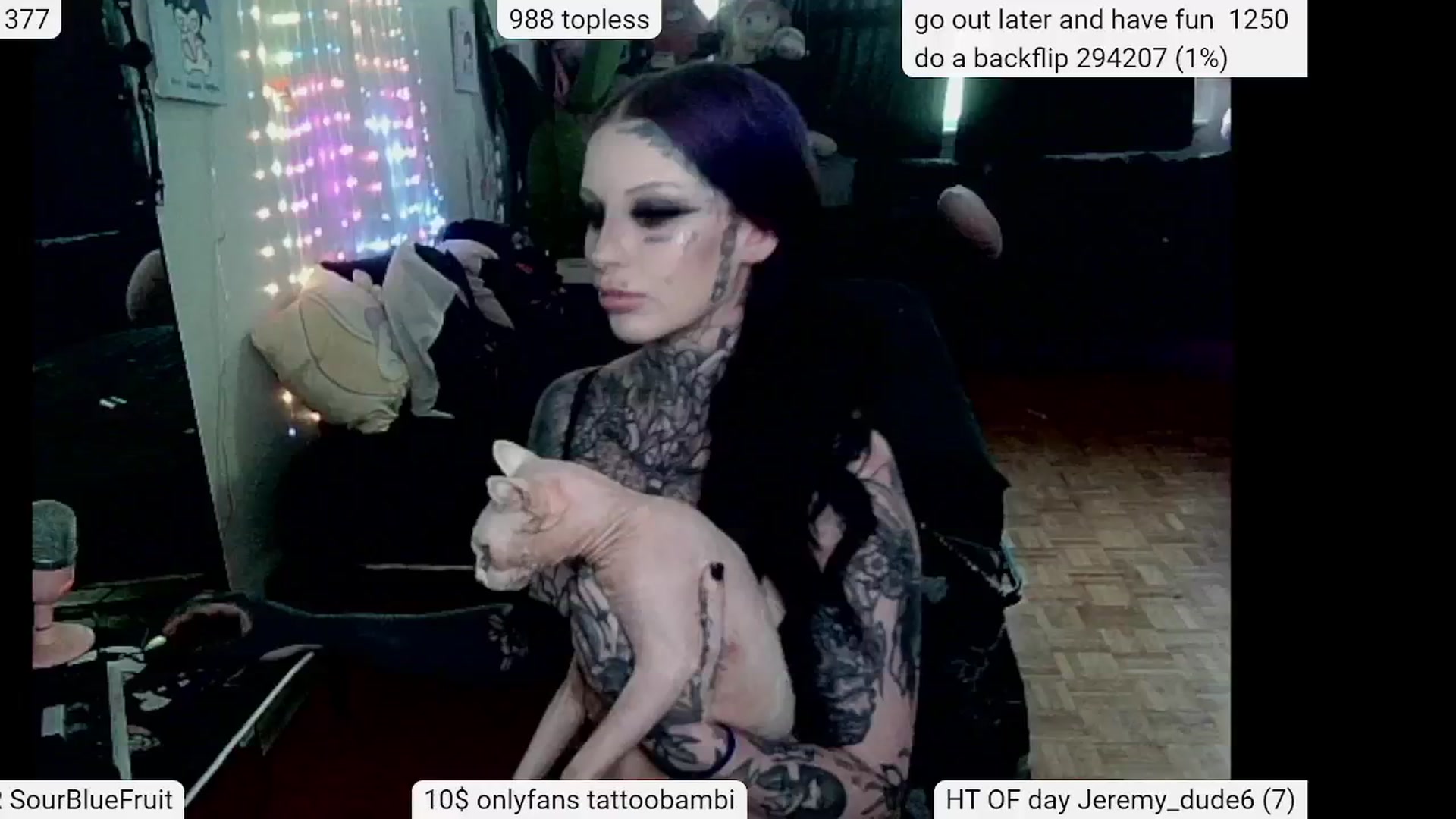 Gallery image thumbnail from Tattoobambi's myfreecams stream on, 05/23/2024, 24:56 image 4 of 20