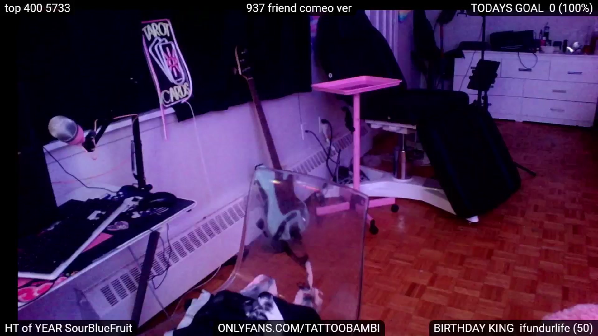 Gallery image thumbnail from Tattoobambi's myfreecams stream on, 08/10/2024, 02:14 image 11 of 20