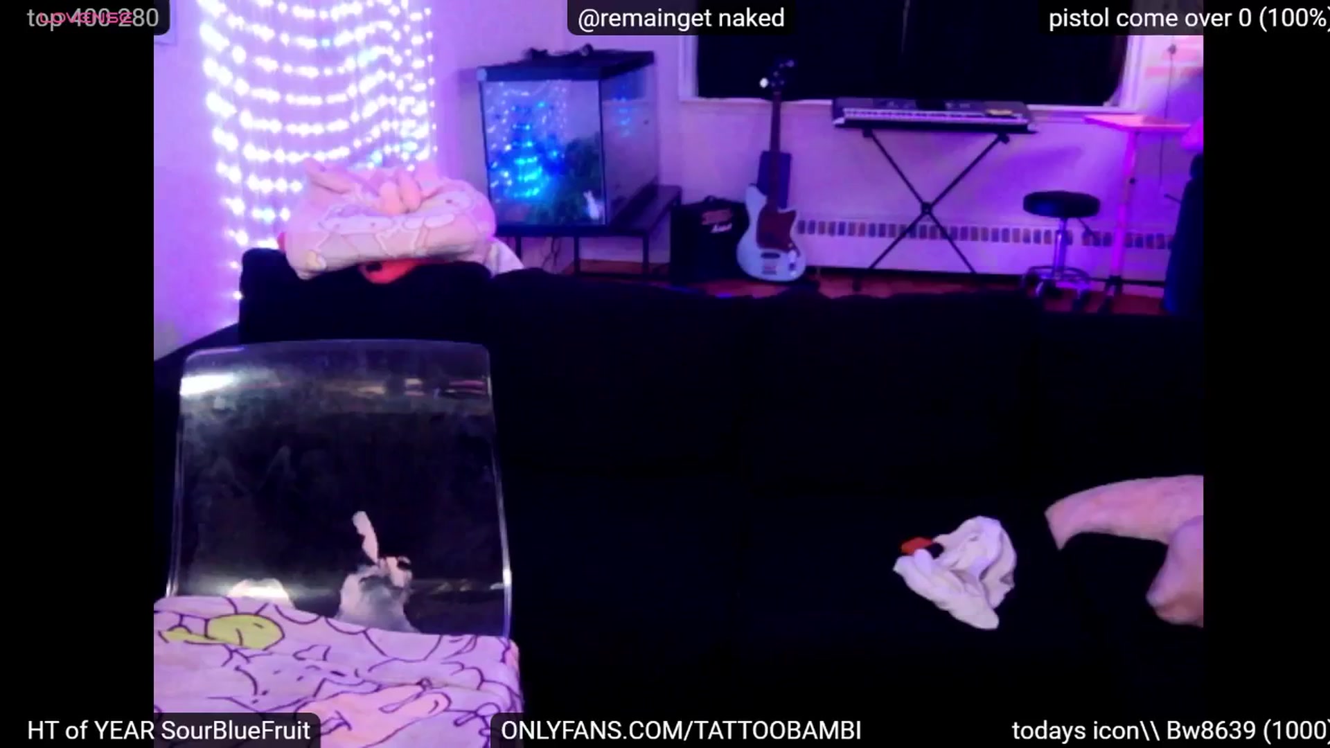 Gallery image thumbnail from Tattoobambi's myfreecams stream on, 10/07/2024, 03:56 image 7 of 20