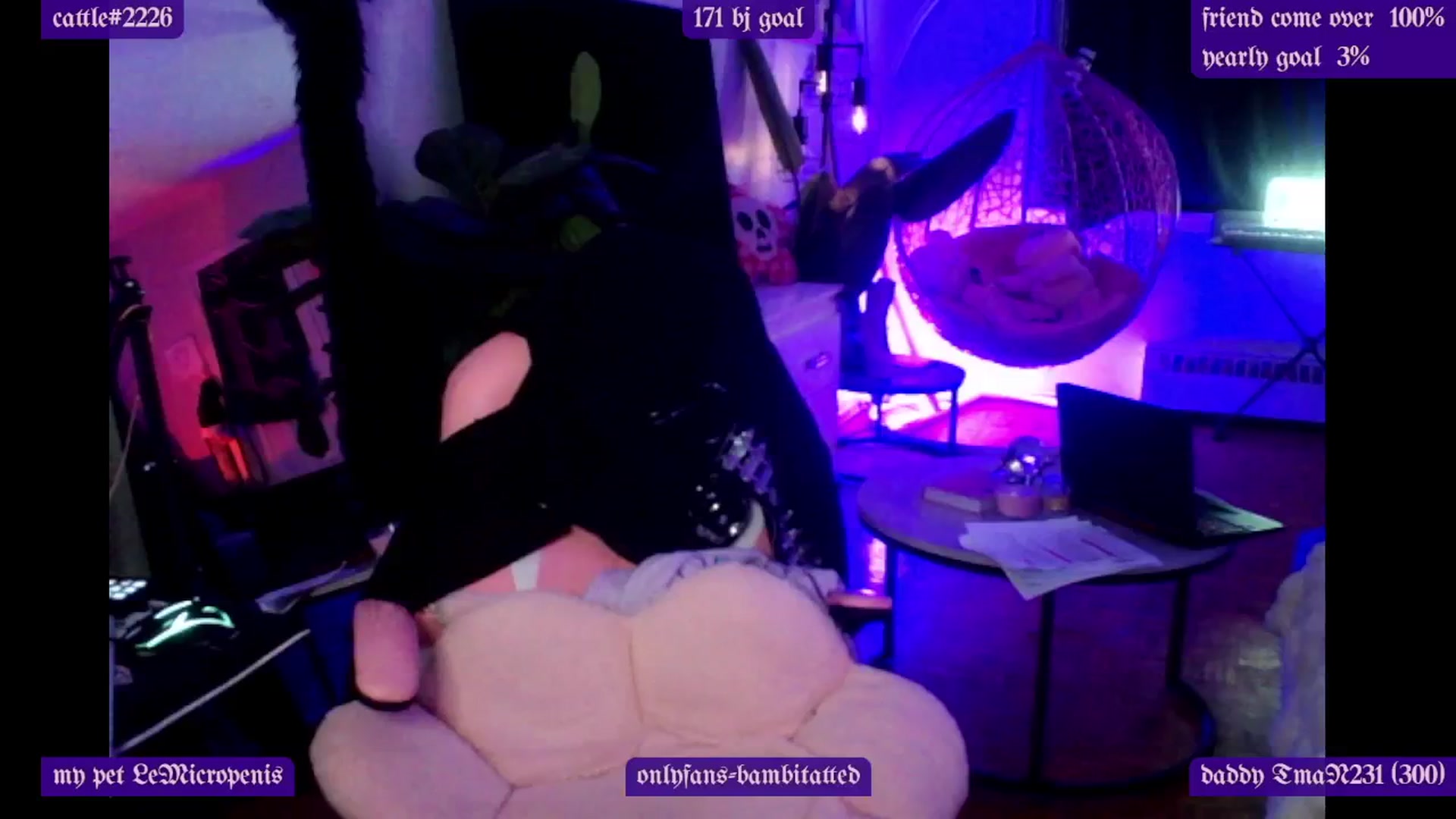Gallery image thumbnail from Tattoobambi's myfreecams stream on, 03/03/2025, 02:34 image 7 of 20