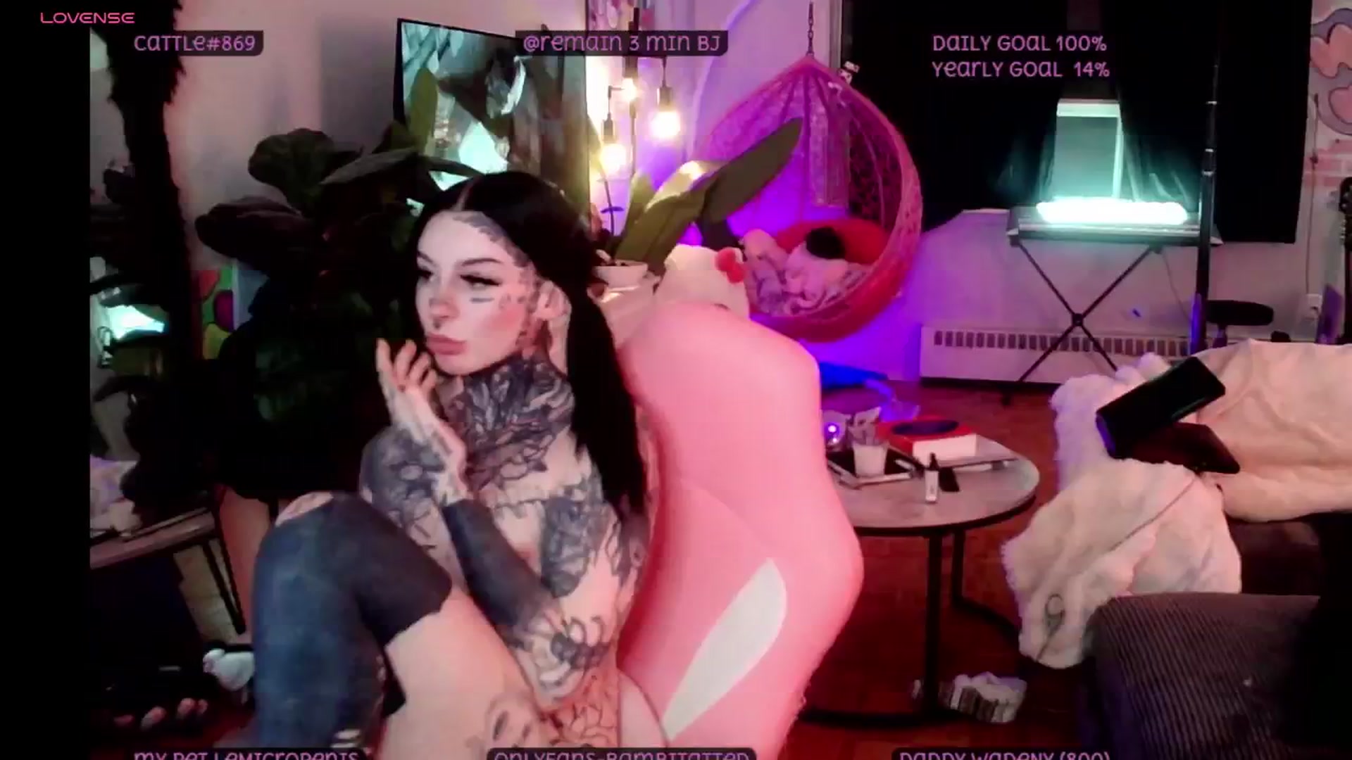 Gallery image thumbnail from Tattoobambi's myfreecams stream on, 04/29/2025, 05:56 image 10 of 20