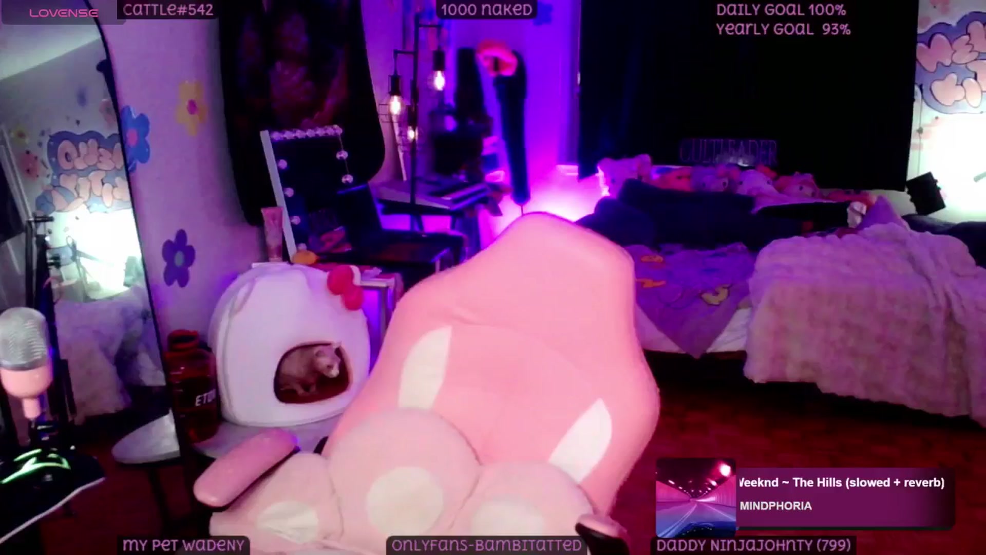 Gallery image thumbnail from Tattoobambi's myfreecams stream on, 05/25/2025, 03:39 image 5 of 20