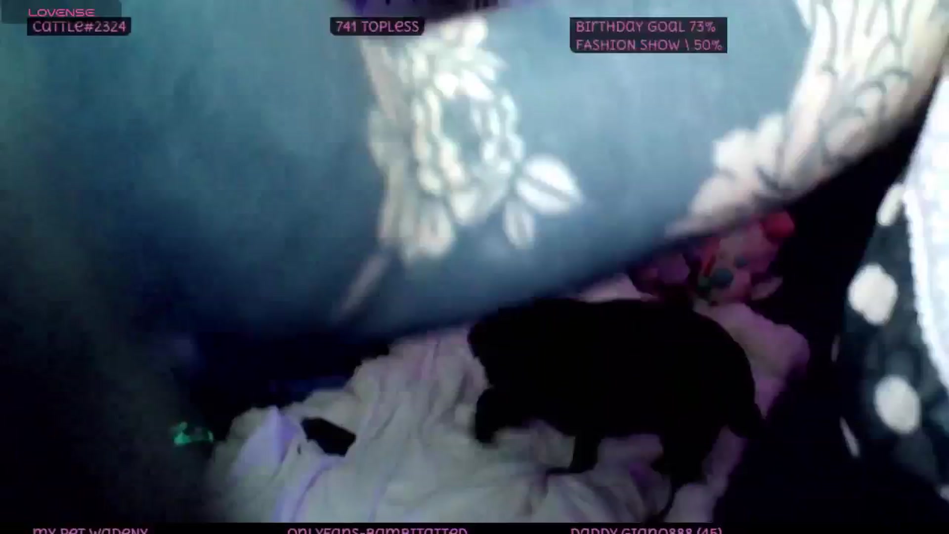 Gallery image thumbnail from Tattoobambi's myfreecams stream on, 07/11/2025, 02:14 image 10 of 20