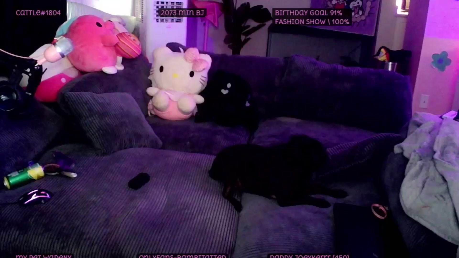 Gallery image thumbnail from Tattoobambi's myfreecams stream on, 07/15/2025, 04:59 image 20 of 20