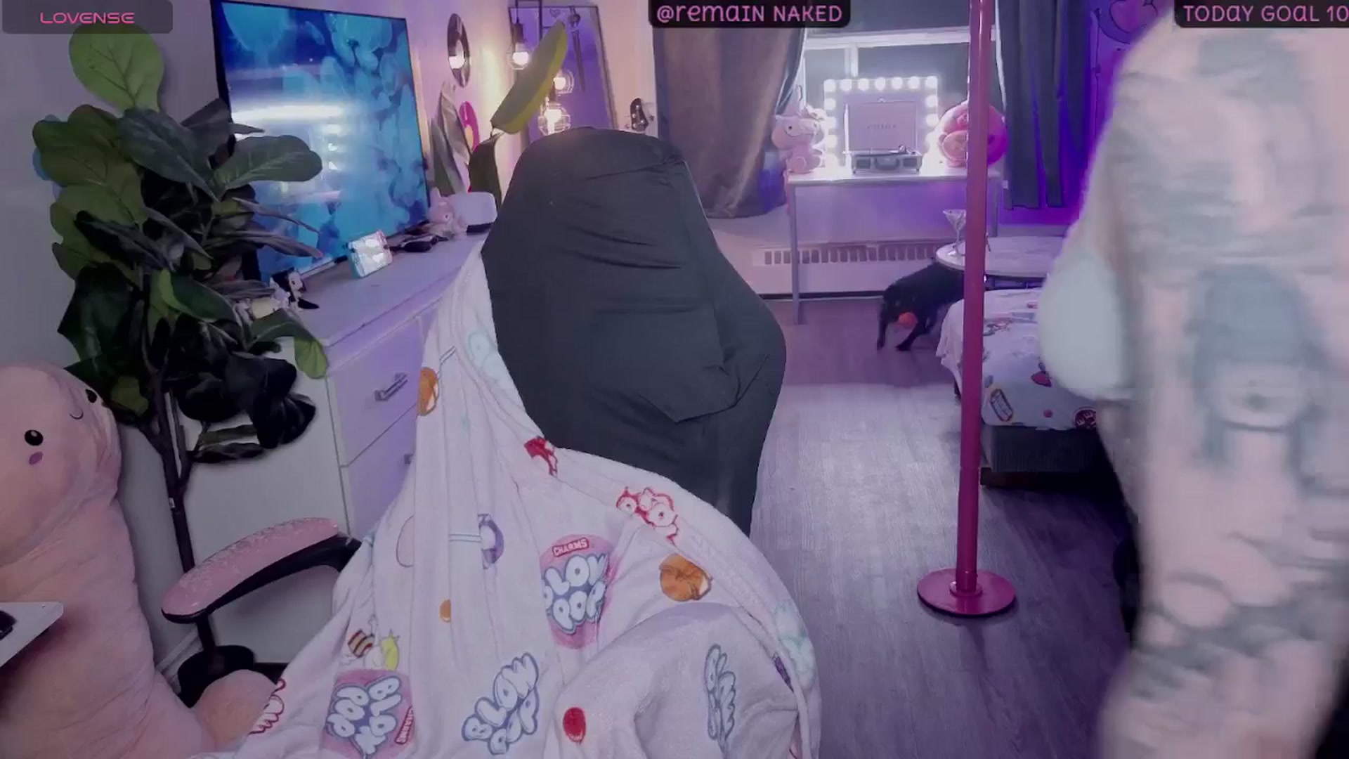 Gallery image thumbnail from Tattoobambi's myfreecams stream on, 02/01/2026, 05:03 image 3 of 20