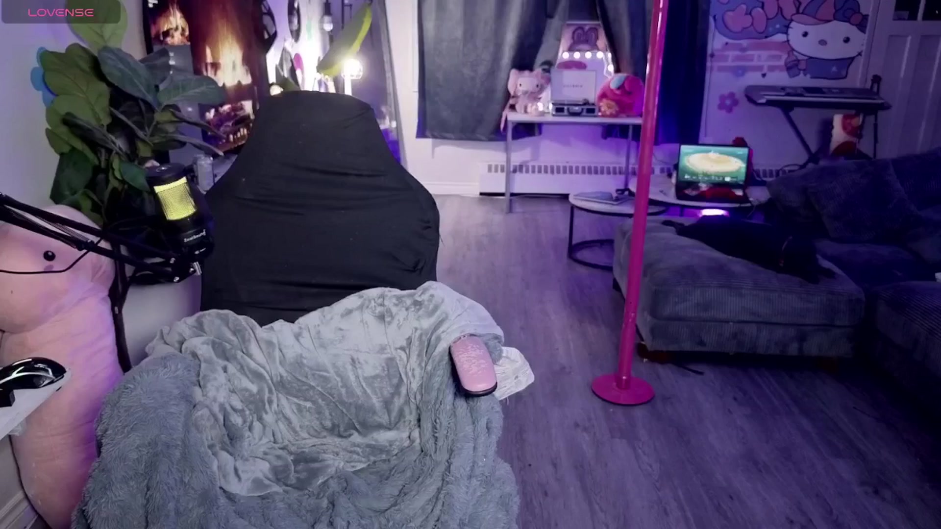 Gallery image thumbnail from Tattoobambi's myfreecams stream on, 03/08/2026, 04:51 image 6 of 20