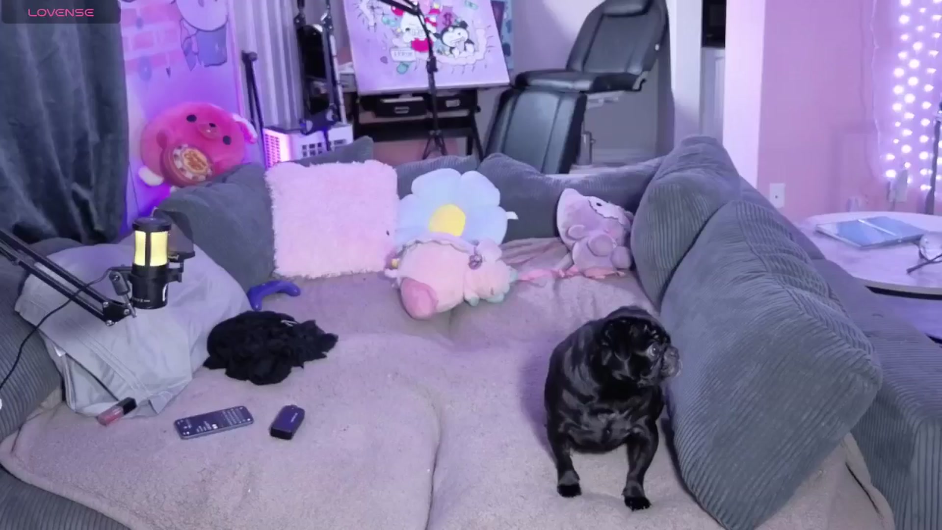 Gallery image thumbnail from Tattoobambi's myfreecams stream on, 04/25/2026, 24:06 image 12 of 20