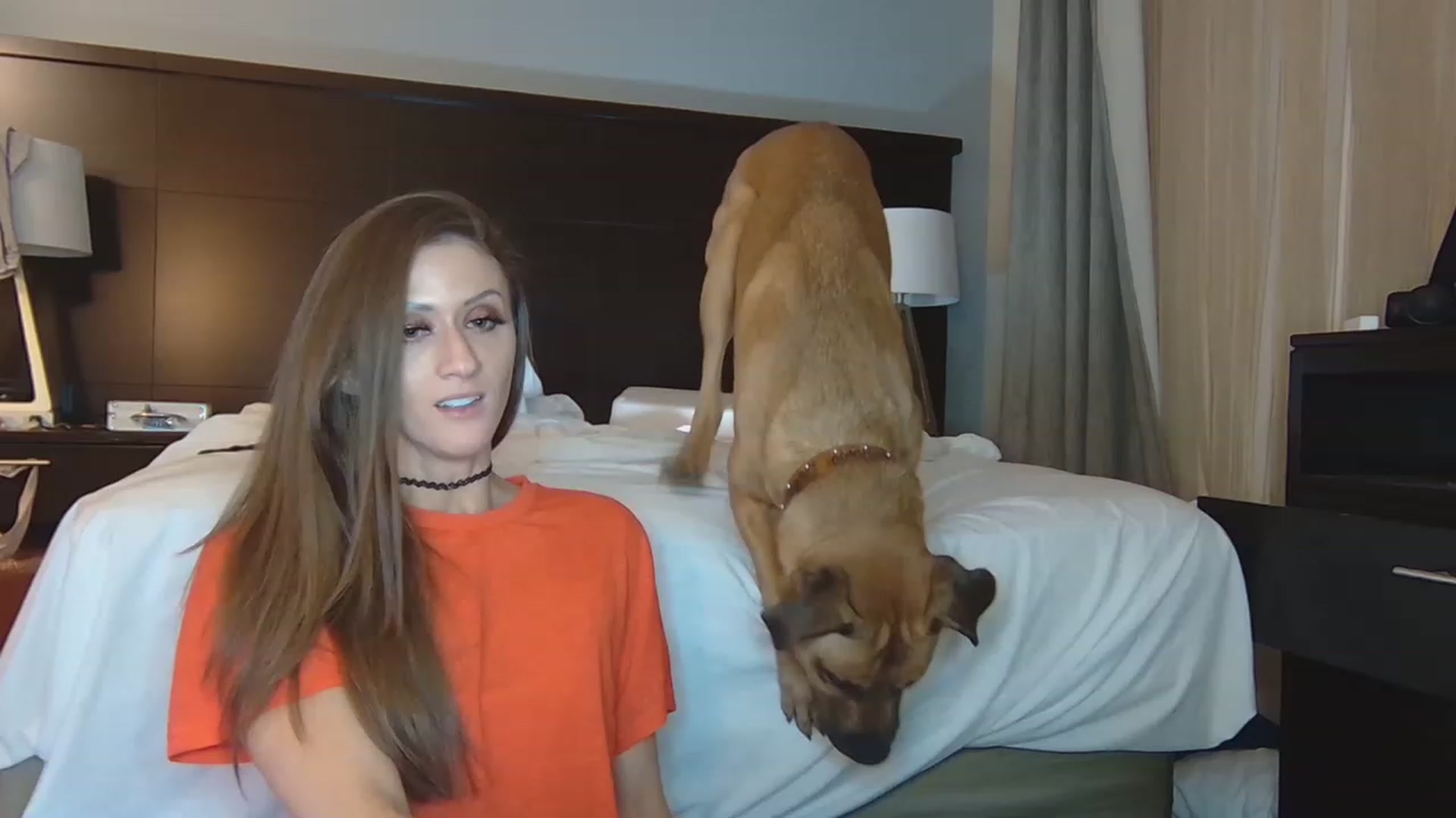 Gallery image thumbnail from Tayforce1's myfreecams stream on, 12/06/2022, 05:37 image 14 of 20