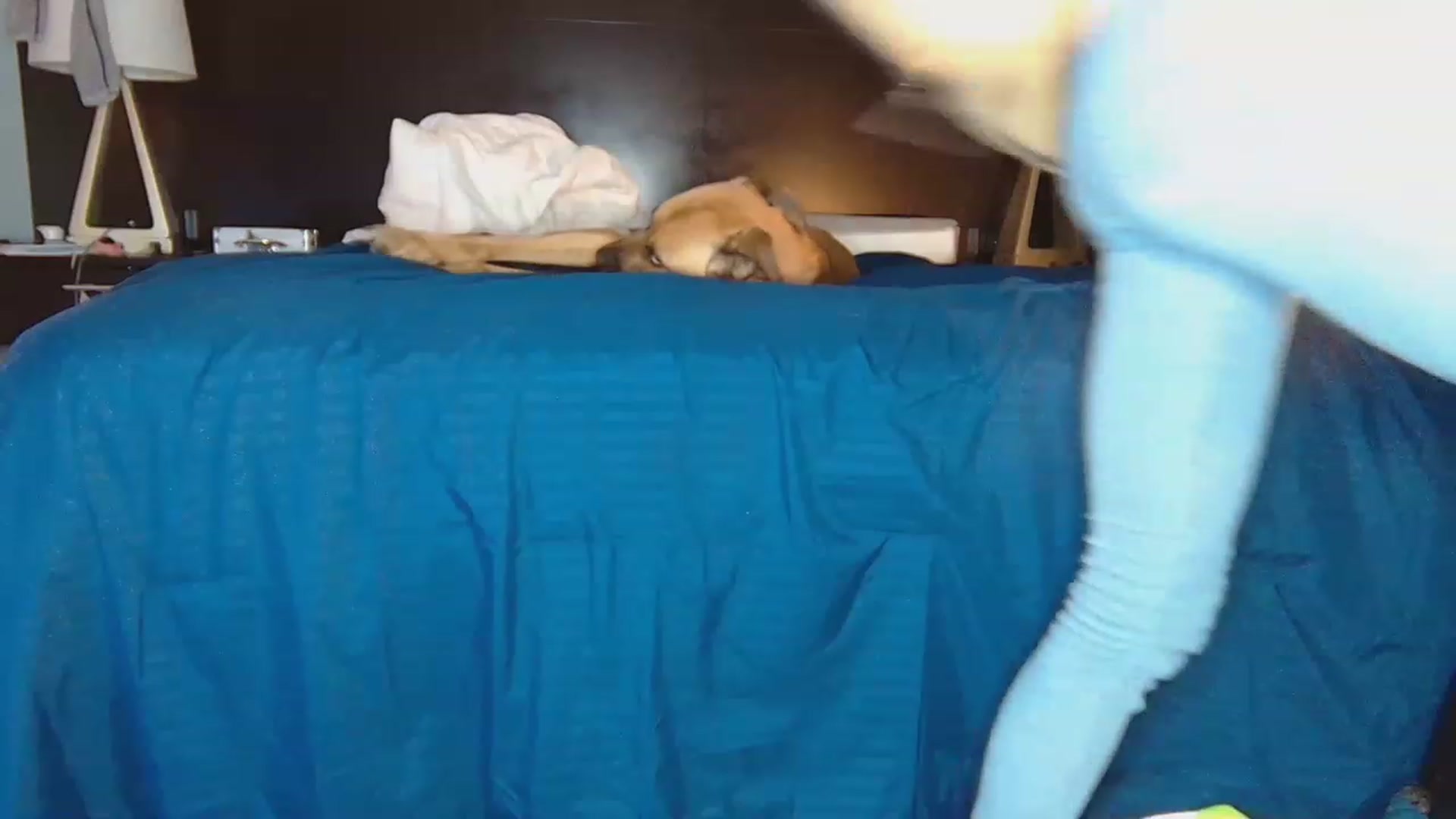 Gallery image thumbnail from Tayforce1's myfreecams stream on, 12/06/2022, 06:53 image 14 of 20