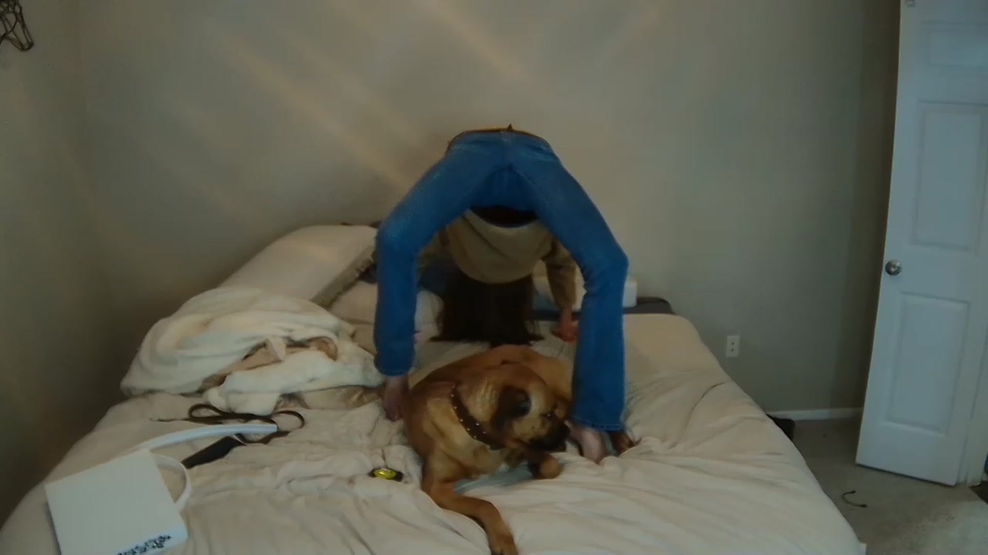 Gallery image thumbnail from Tayforceone's myfreecams stream on, 02/14/2023, 08:14 image 20 of 20