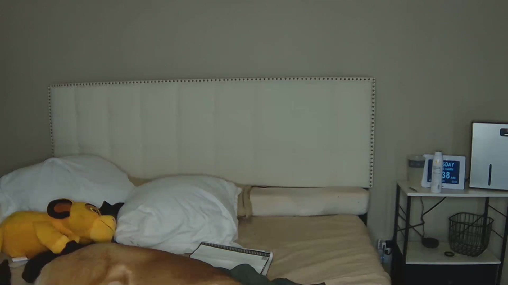 Gallery image thumbnail from Tayforceone's myfreecams stream on, 06/20/2023, 07:37 image 20 of 20