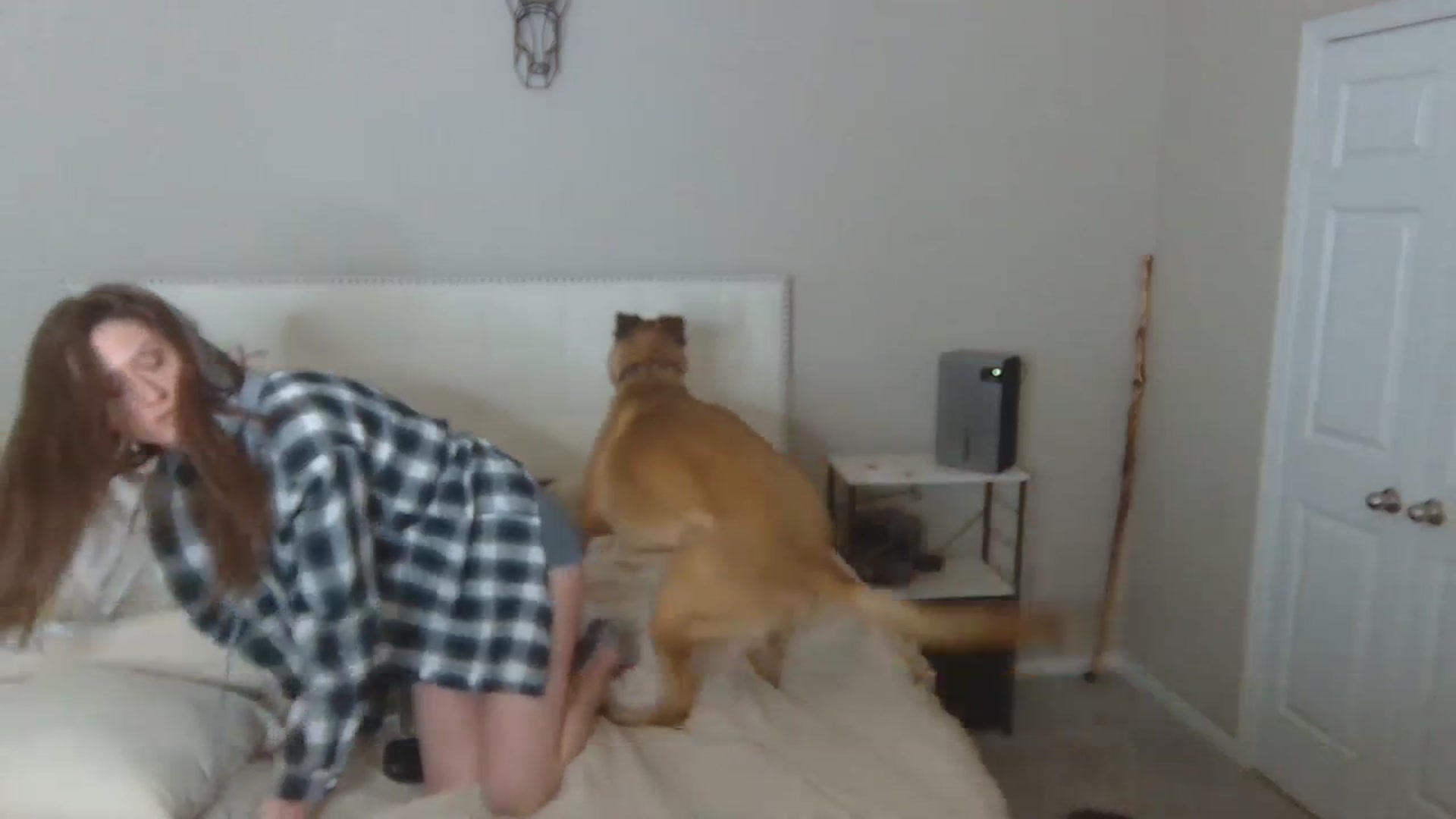 Gallery image thumbnail from Tayforceone's myfreecams stream on, 07/03/2023, 02:58 image 19 of 20
