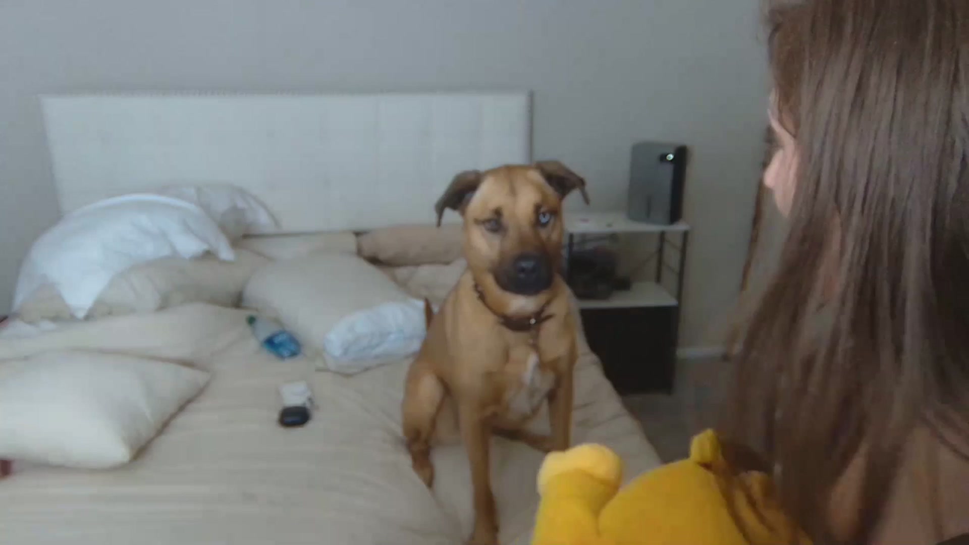 Gallery image thumbnail from Tayforceone's myfreecams stream on, 07/03/2023, 02:58 image 18 of 20