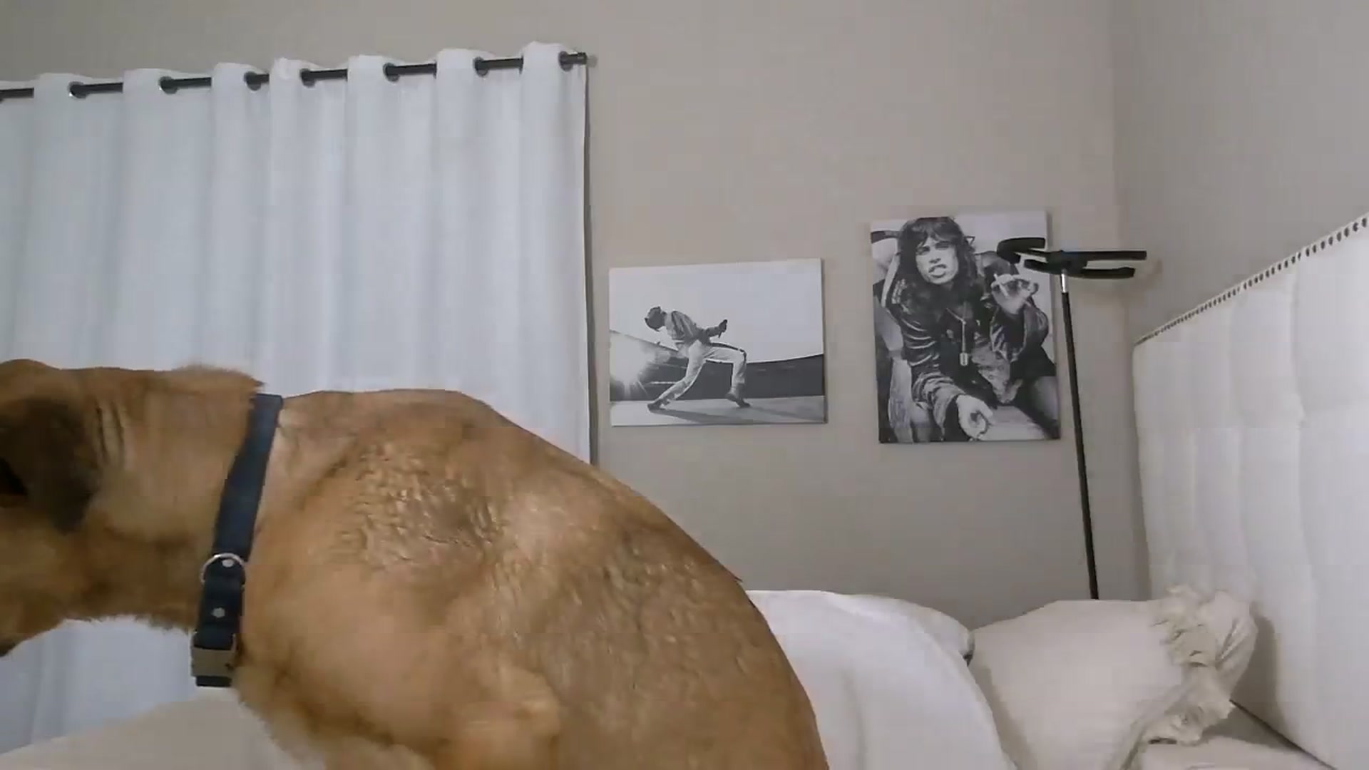 Gallery image thumbnail from Tayforceone's myfreecams stream on, 08/08/2023, 03:23 image 15 of 20