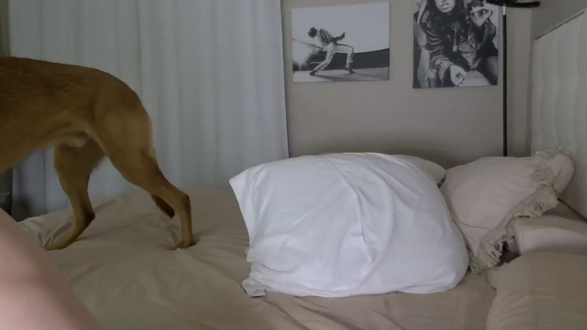 Gallery image thumbnail from Tayforceone's myfreecams stream on, 08/08/2023, 03:23 image 17 of 20