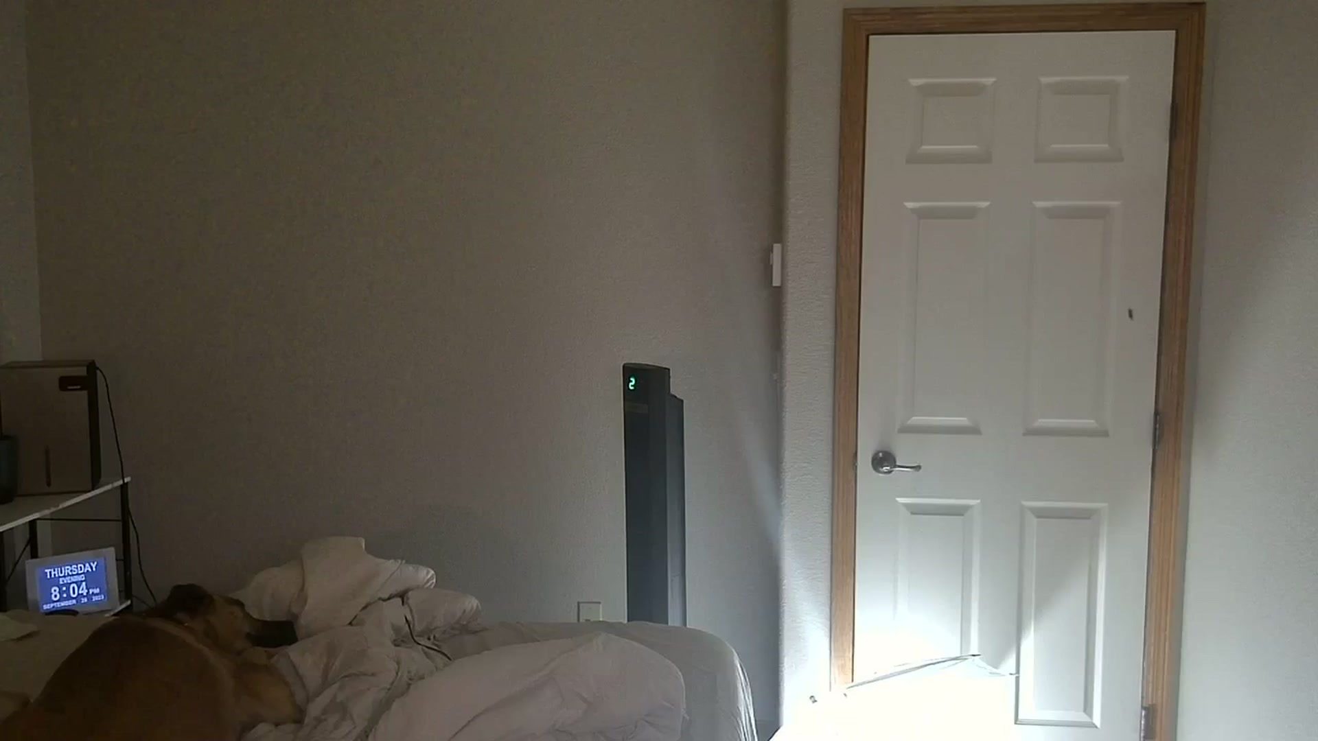 Gallery image thumbnail from Tayforceone's myfreecams stream on, 09/29/2023, 03:13 image 6 of 20