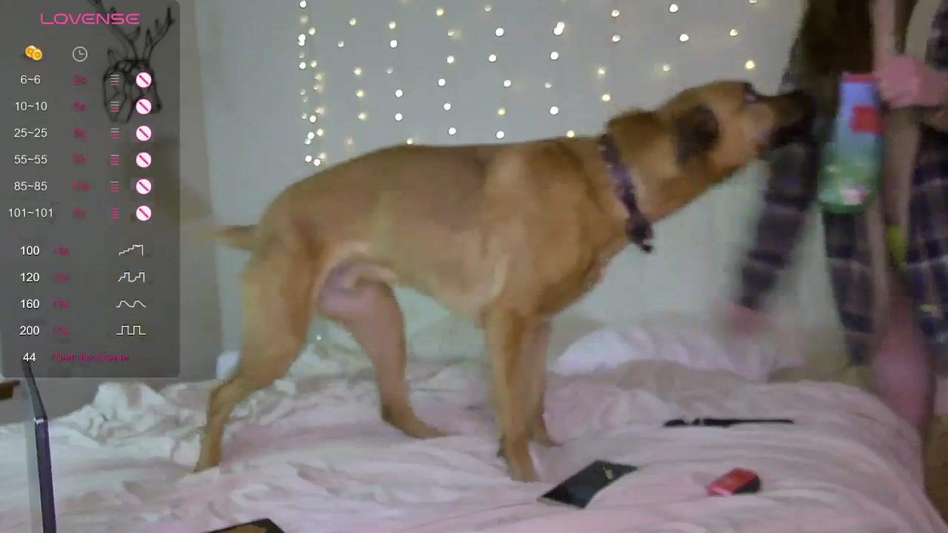 Gallery image thumbnail from Tayforceone's myfreecams stream on, 03/12/2024, 09:13 image 19 of 20