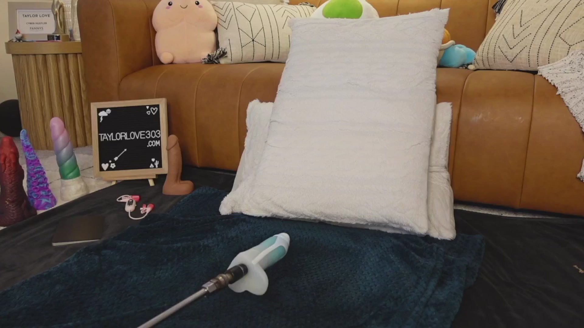 Gallery image thumbnail from TaylorLove303's myfreecams stream on, 06/01/2025, 14:34 image 16 of 20