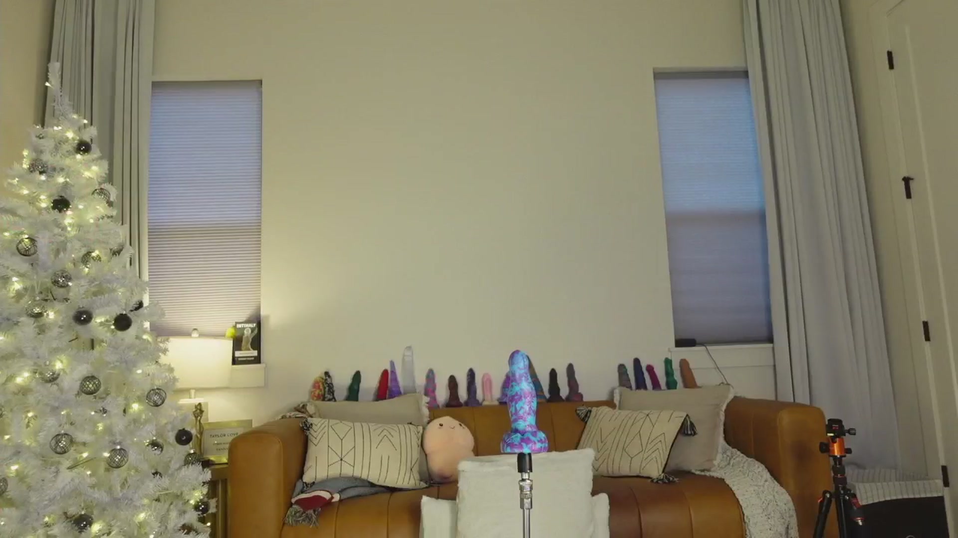 Gallery image thumbnail from TaylorLove303's myfreecams stream on, 12/02/2025, 16:21 image 10 of 20