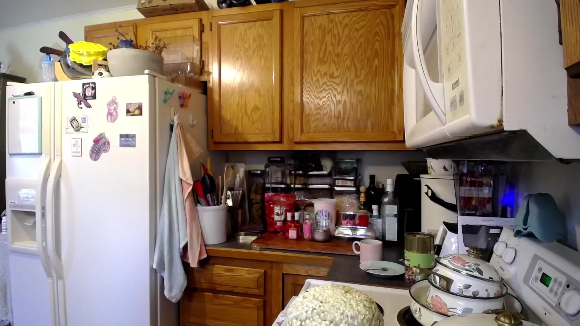 Gallery image thumbnail from TaylorVaughan's myfreecams stream on, 02/14/2024, 20:43 image 11 of 20