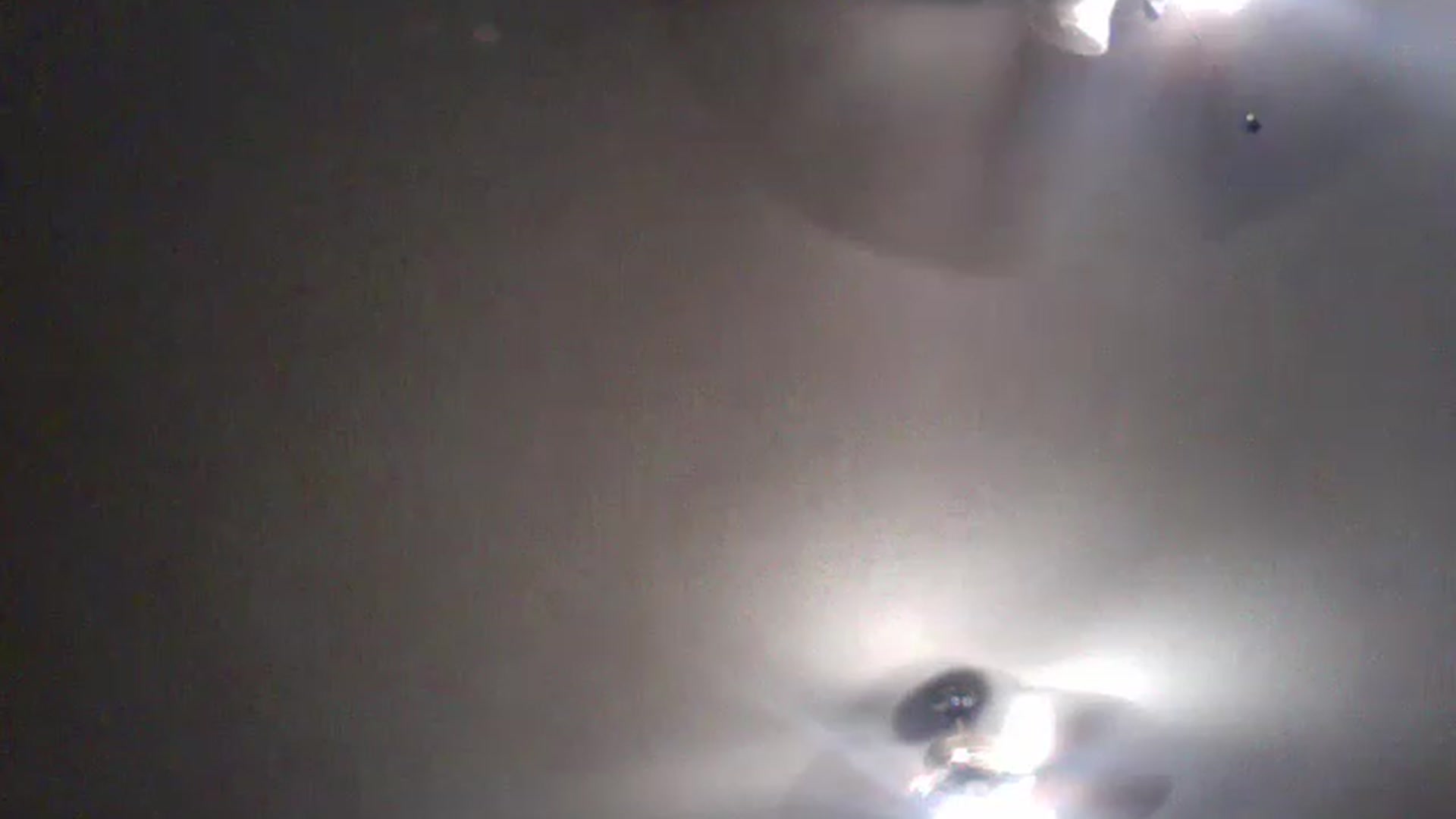 Gallery image thumbnail from Taytaybae27's myfreecams stream on, 11/23/2022, 04:46 image 13 of 20
