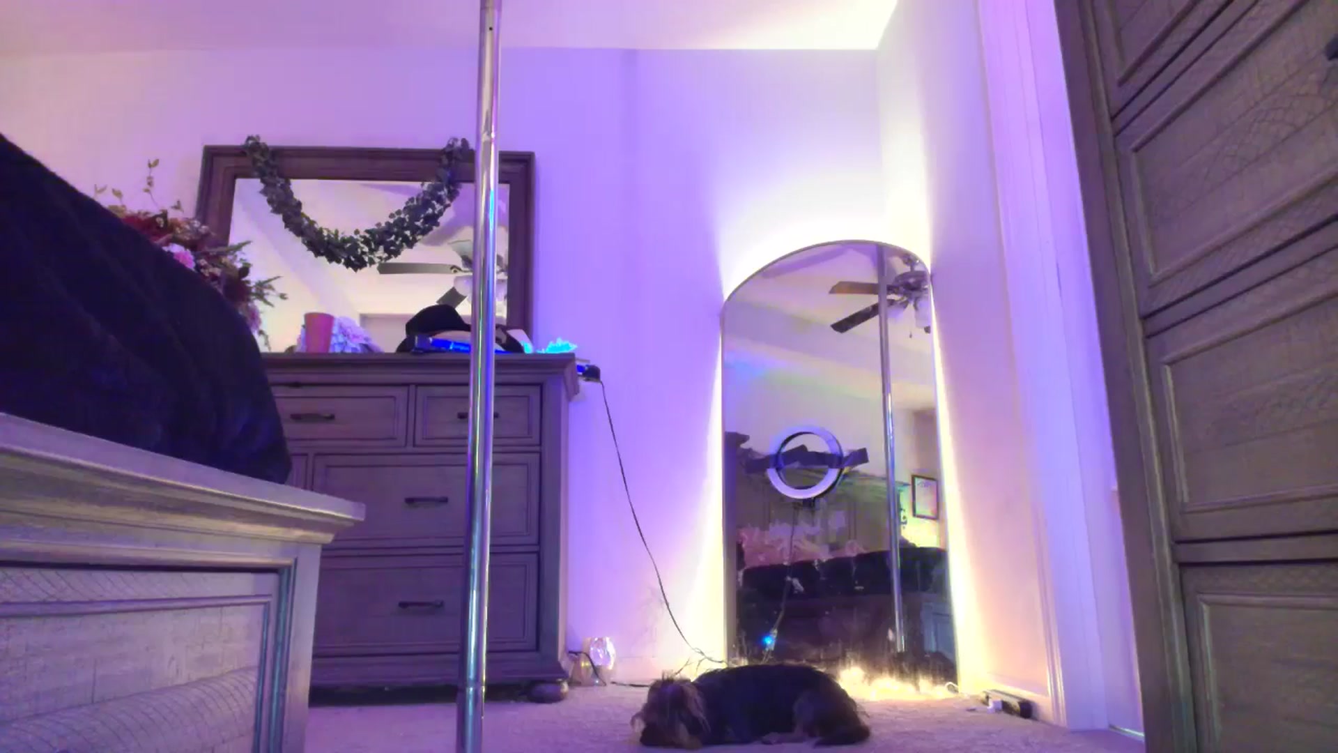 Gallery image thumbnail from TeXMilF's myfreecams stream on, 12/05/2025, 20:38 image 15 of 20
