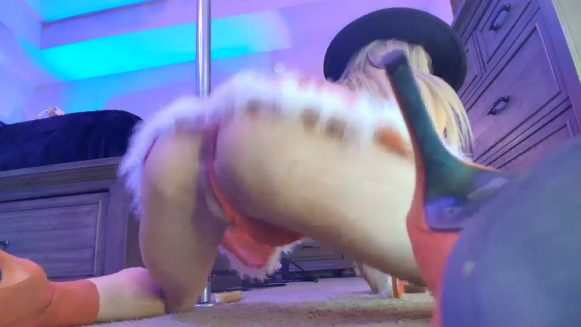 Gallery image thumbnail from TeXMilF's myfreecams stream on, 12/17/2025, 19:09 image 8 of 20