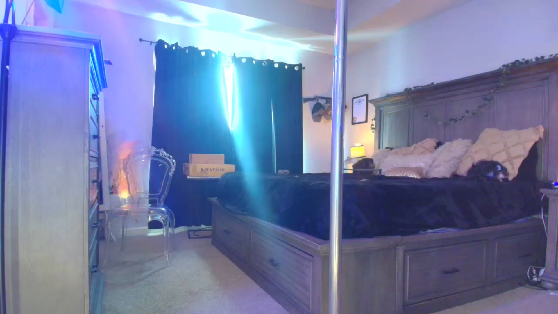 Gallery image thumbnail from TeXMilF's myfreecams stream on, 12/21/2025, 19:48 image 8 of 20