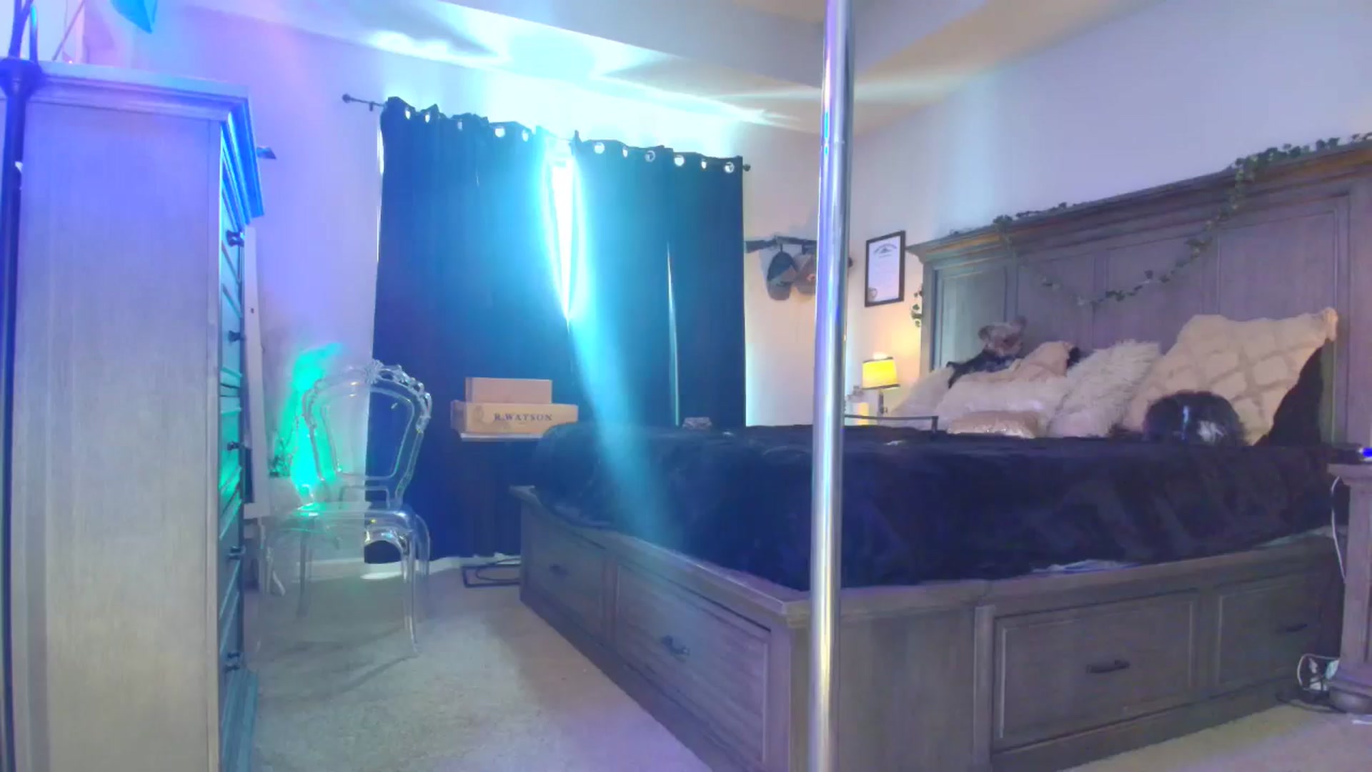 Gallery image thumbnail from TeXMilF's myfreecams stream on, 12/21/2025, 19:48 image 7 of 20