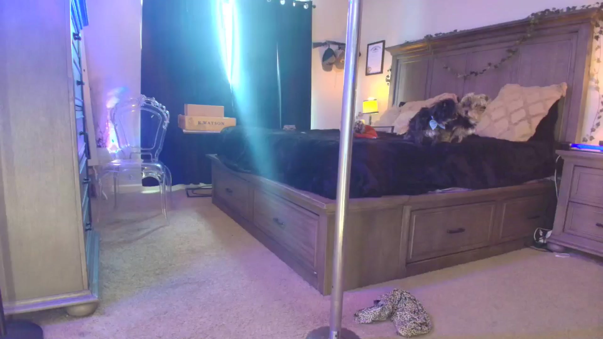 Gallery image thumbnail from TeXMilF's myfreecams stream on, 12/21/2025, 19:48 image 20 of 20