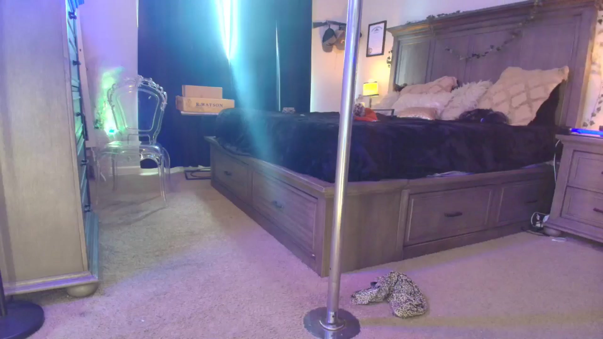 Gallery image thumbnail from TeXMilF's myfreecams stream on, 12/21/2025, 19:48 image 19 of 20
