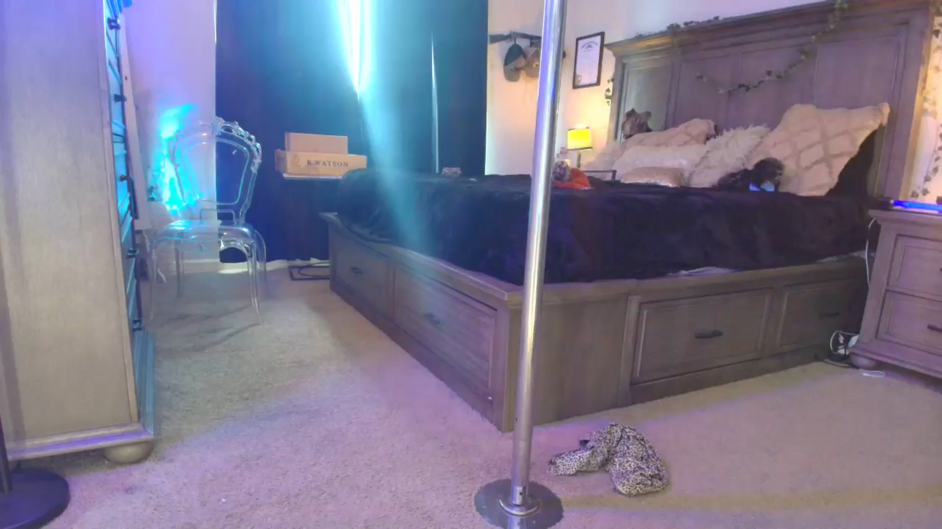 Gallery image thumbnail from TeXMilF's myfreecams stream on, 12/21/2025, 19:48 image 18 of 20