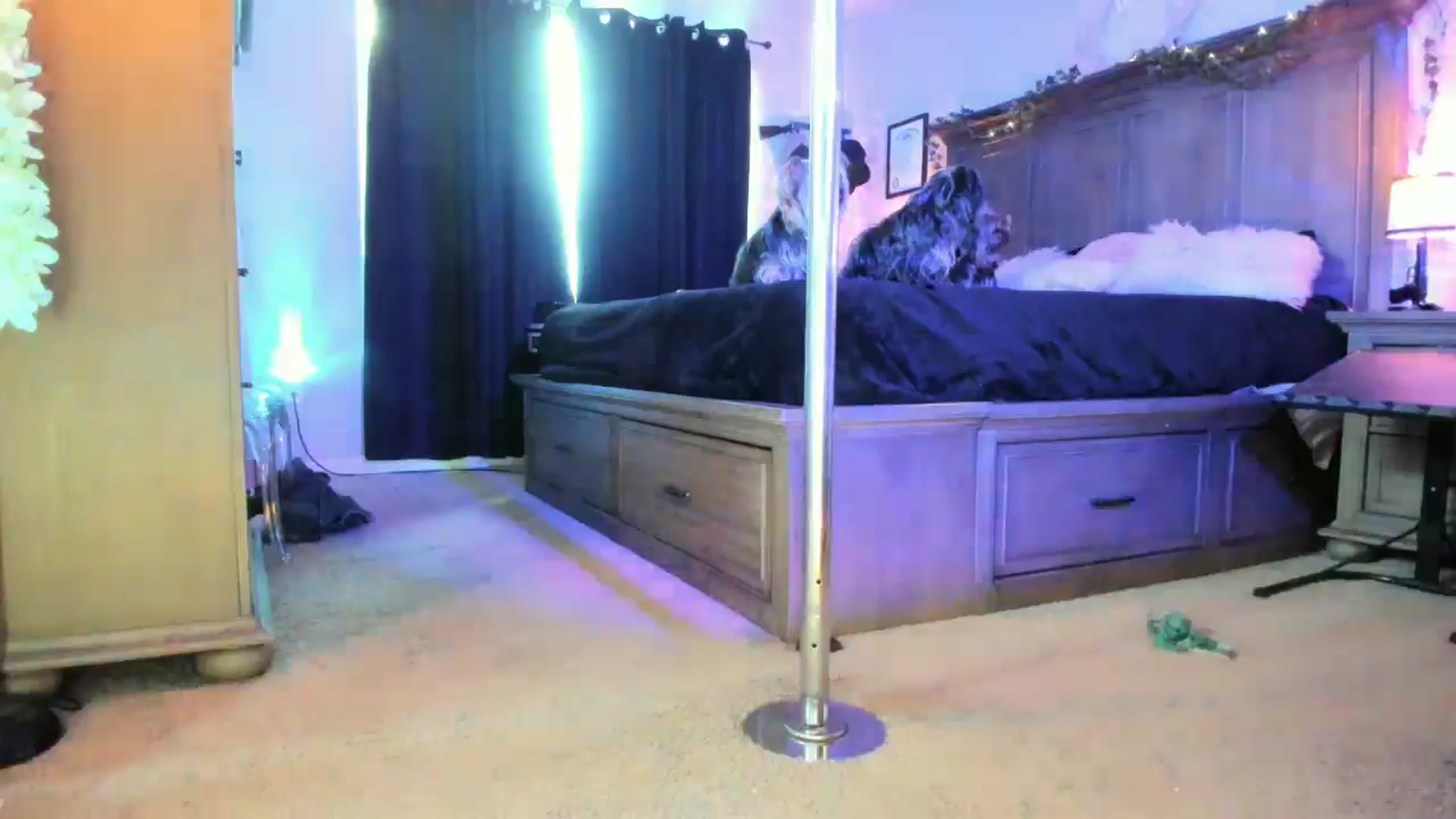 Gallery image thumbnail from TeXxxx's myfreecams stream on, 02/21/2025, 22:29 image 8 of 20