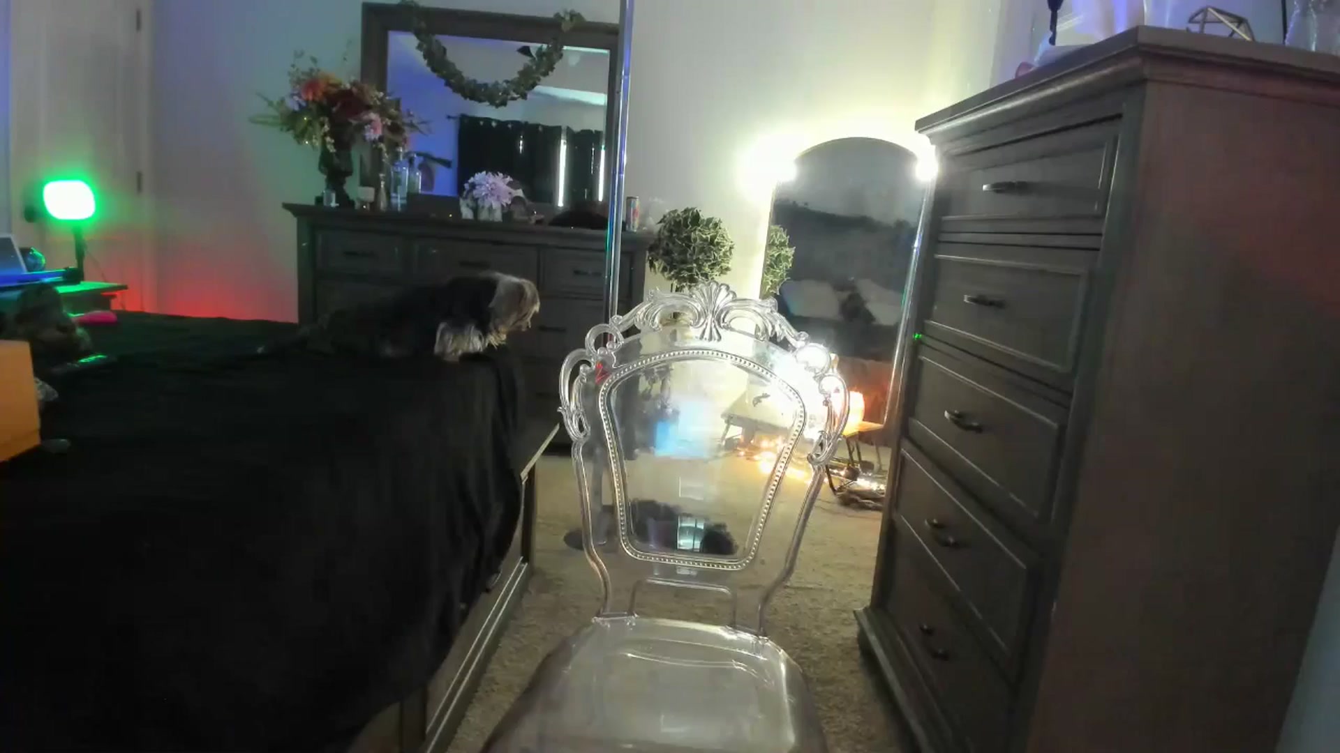 Gallery image thumbnail from TeXxxx's myfreecams stream on, 04/10/2025, 21:18 image 20 of 20