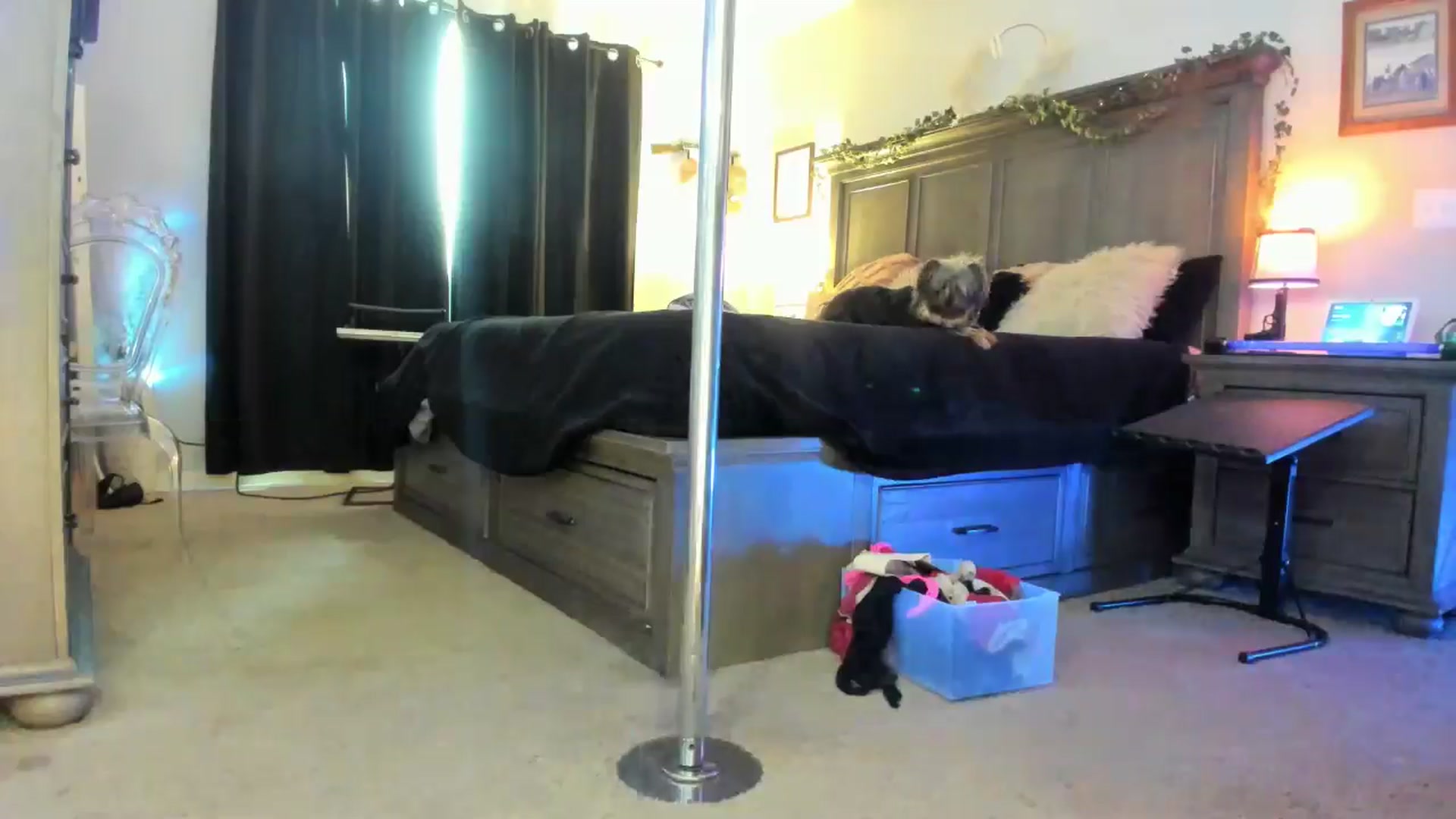 Gallery image thumbnail from TeXxxx's myfreecams stream on, 04/14/2025, 19:18 image 3 of 20
