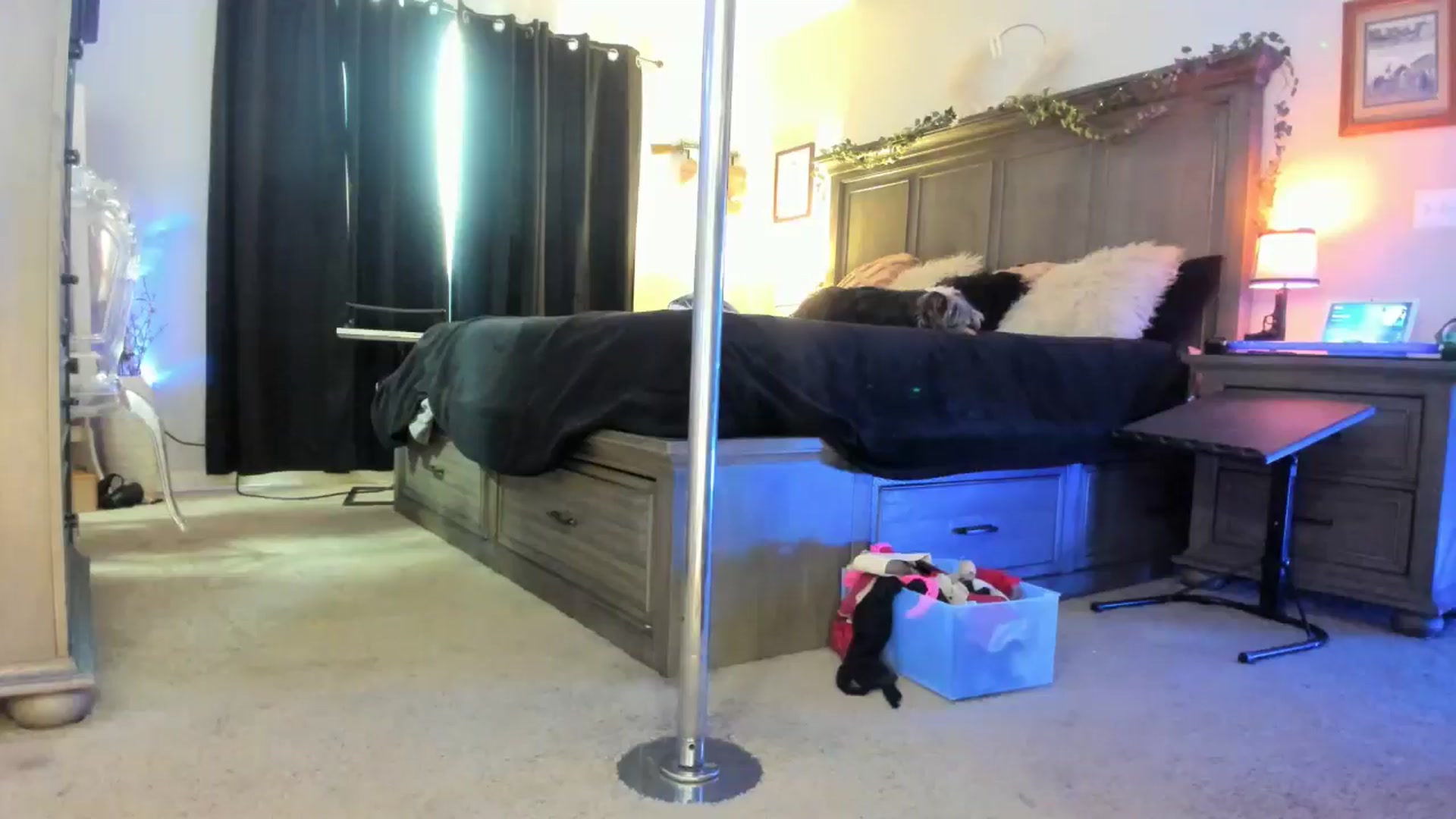 Gallery image thumbnail from TeXxxx's myfreecams stream on, 04/14/2025, 19:18 image 2 of 20
