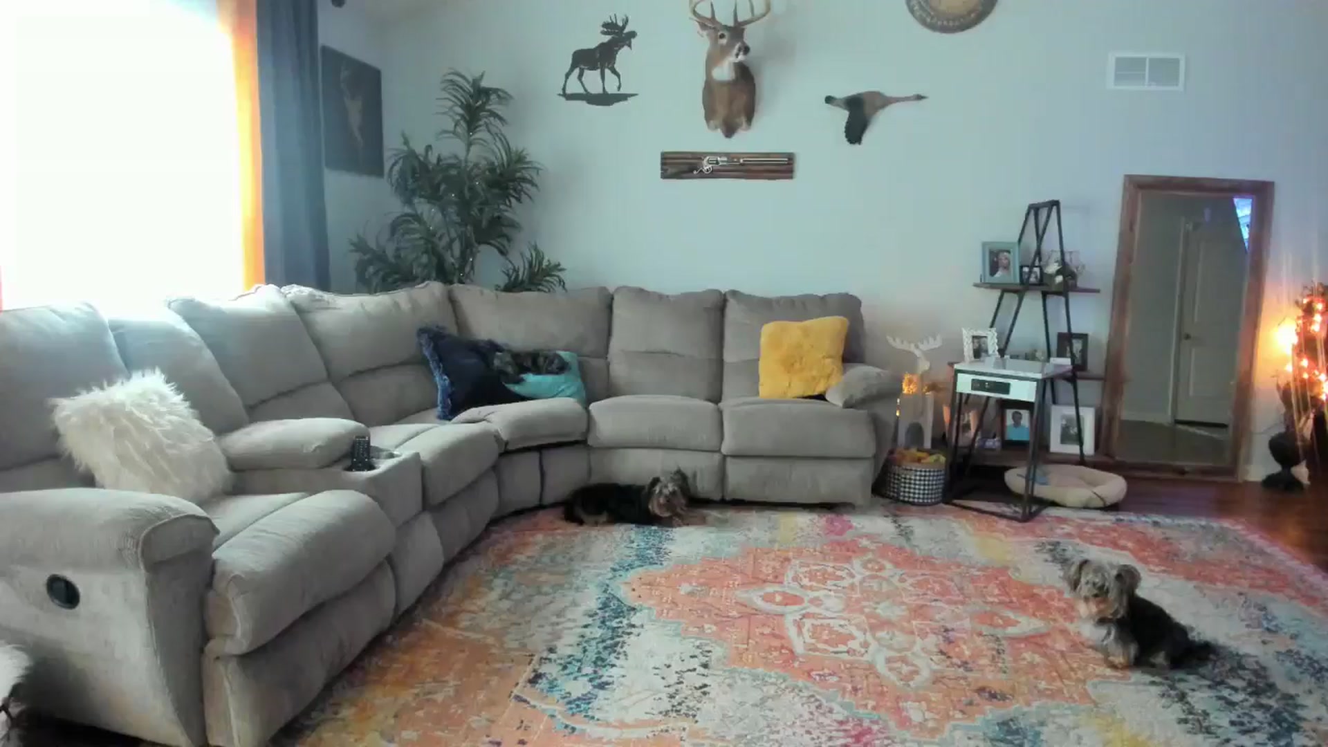 Gallery image thumbnail from TeXxxx's myfreecams stream on, 04/25/2025, 18:29 image 3 of 20