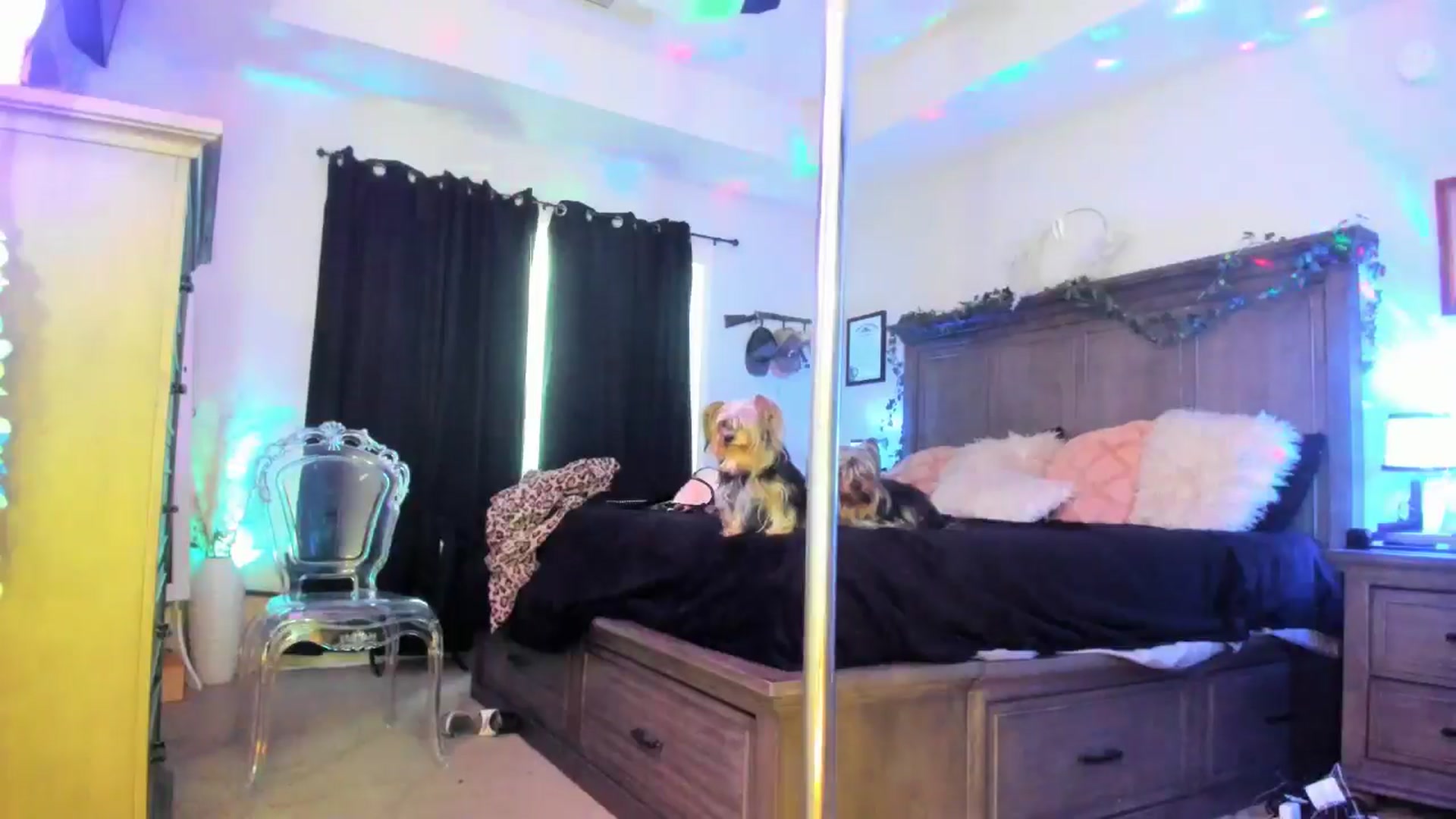 Gallery image thumbnail from TeXxxx's myfreecams stream on, 07/12/2025, 01:07 image 13 of 20