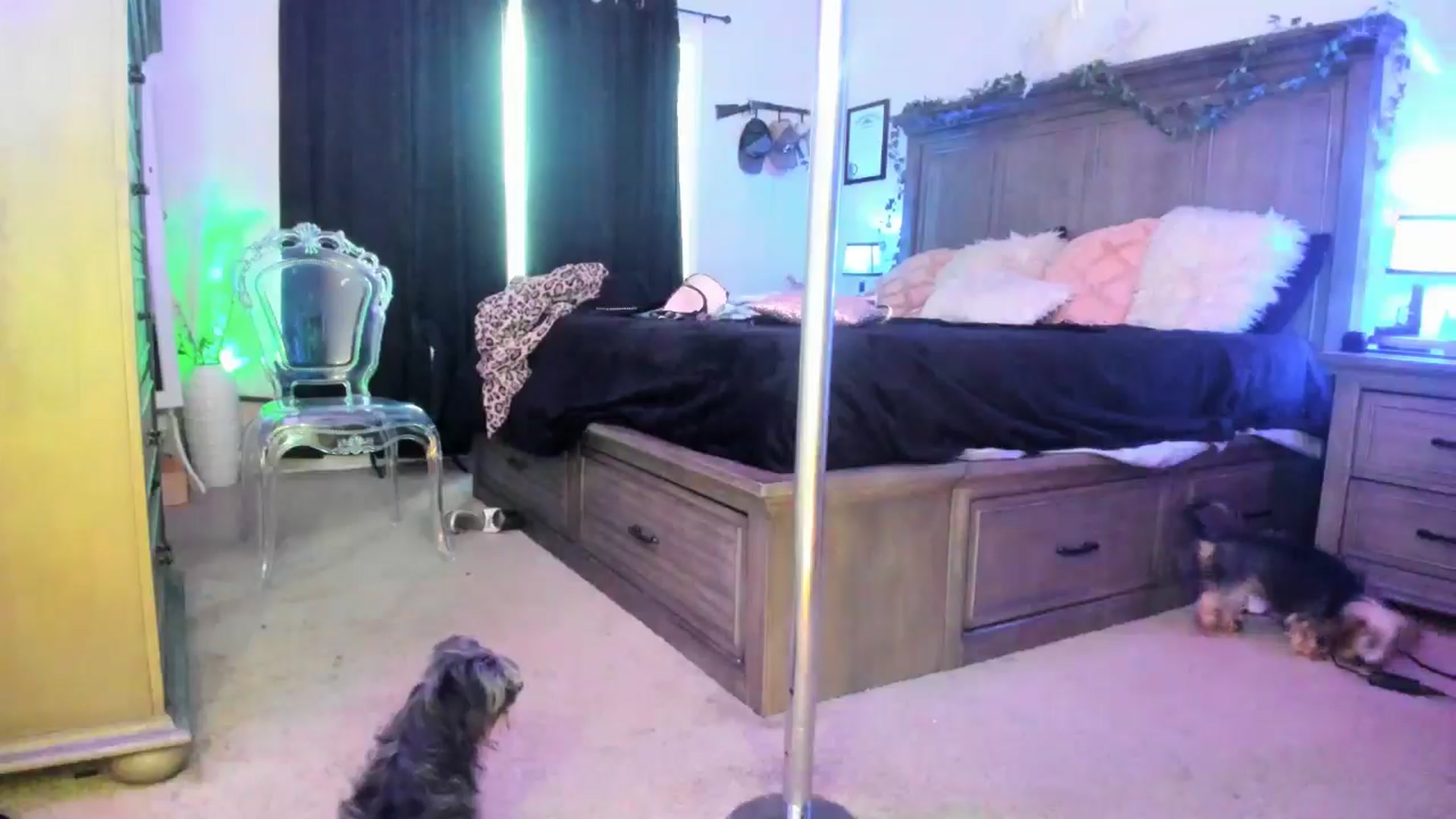 Gallery image thumbnail from TeXxxx's myfreecams stream on, 07/12/2025, 01:07 image 11 of 20