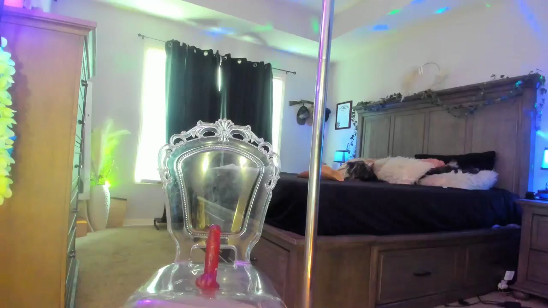 Gallery image thumbnail from TeXxxx's myfreecams stream on, 07/14/2025, 22:24 image 13 of 20