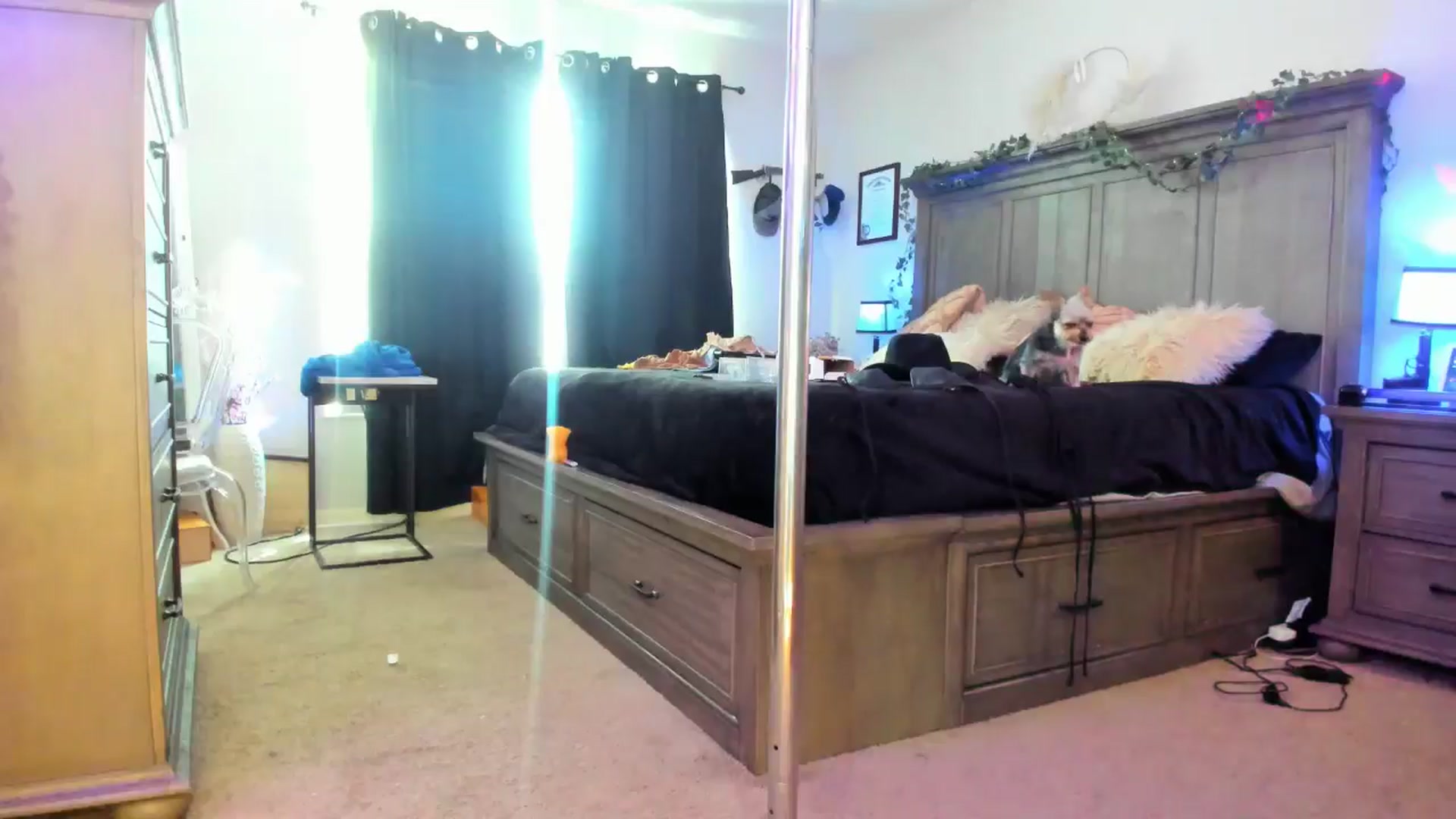 Gallery image thumbnail from TeXxxx's myfreecams stream on, 07/17/2025, 19:33 image 12 of 20